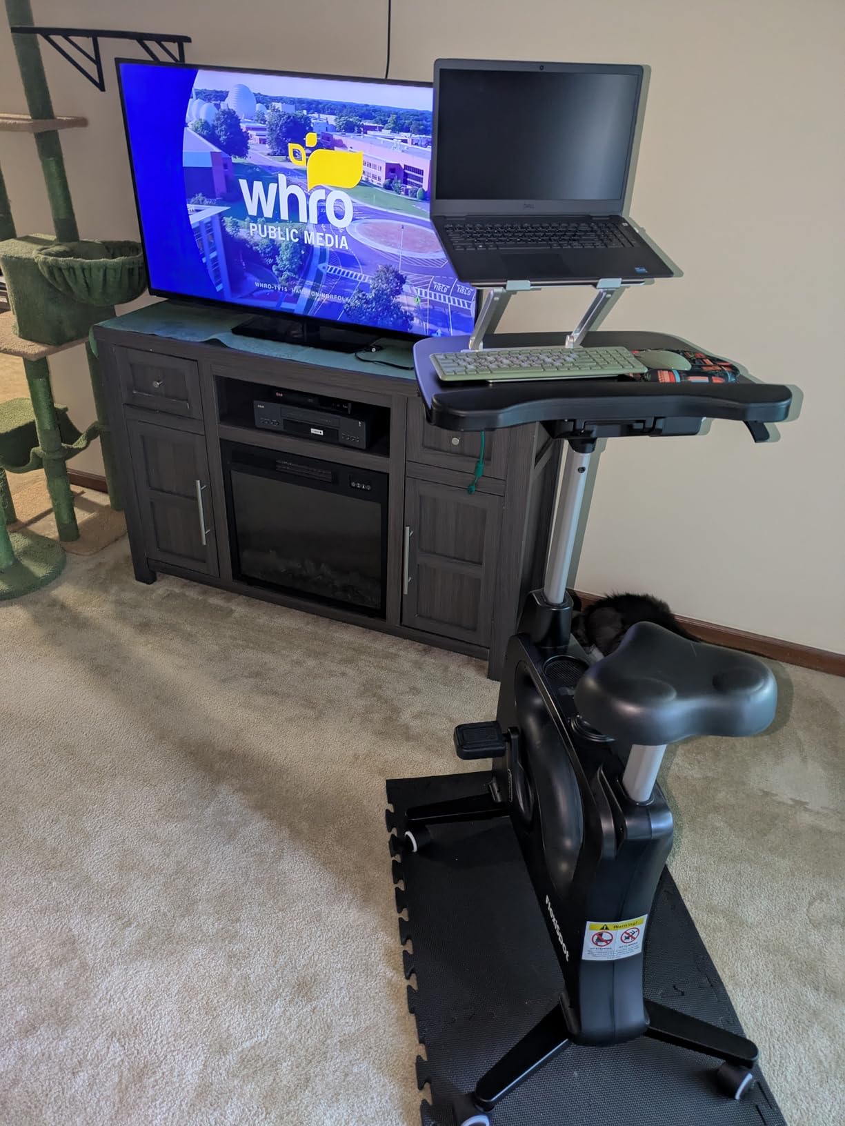 FLEXISPOT Exercise Bikes for Home, Space Saving Under Desk Bike, Stationary Bikes Indoor Bikes with Flywheel 300LBS Heavy Duty, Optional LCD/2D Desktop/8-Level Resistance, V8/V9/V9-MAX customer photo 2