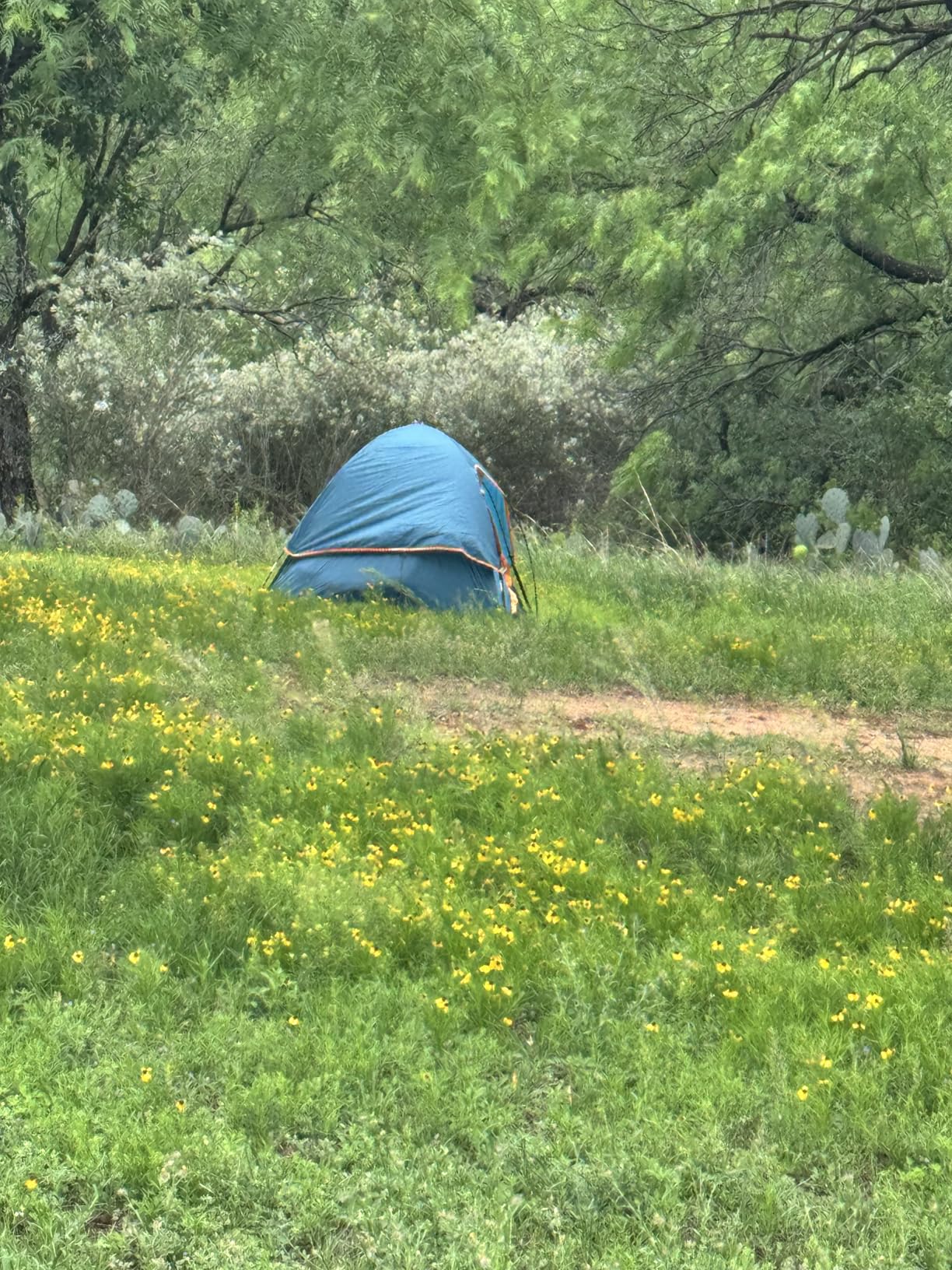 Camping Tent 2-4 Person, Waterproof Windproof Tent with Rainfly Easy Set up-Portable Dome Tents for Camping customer photo 2