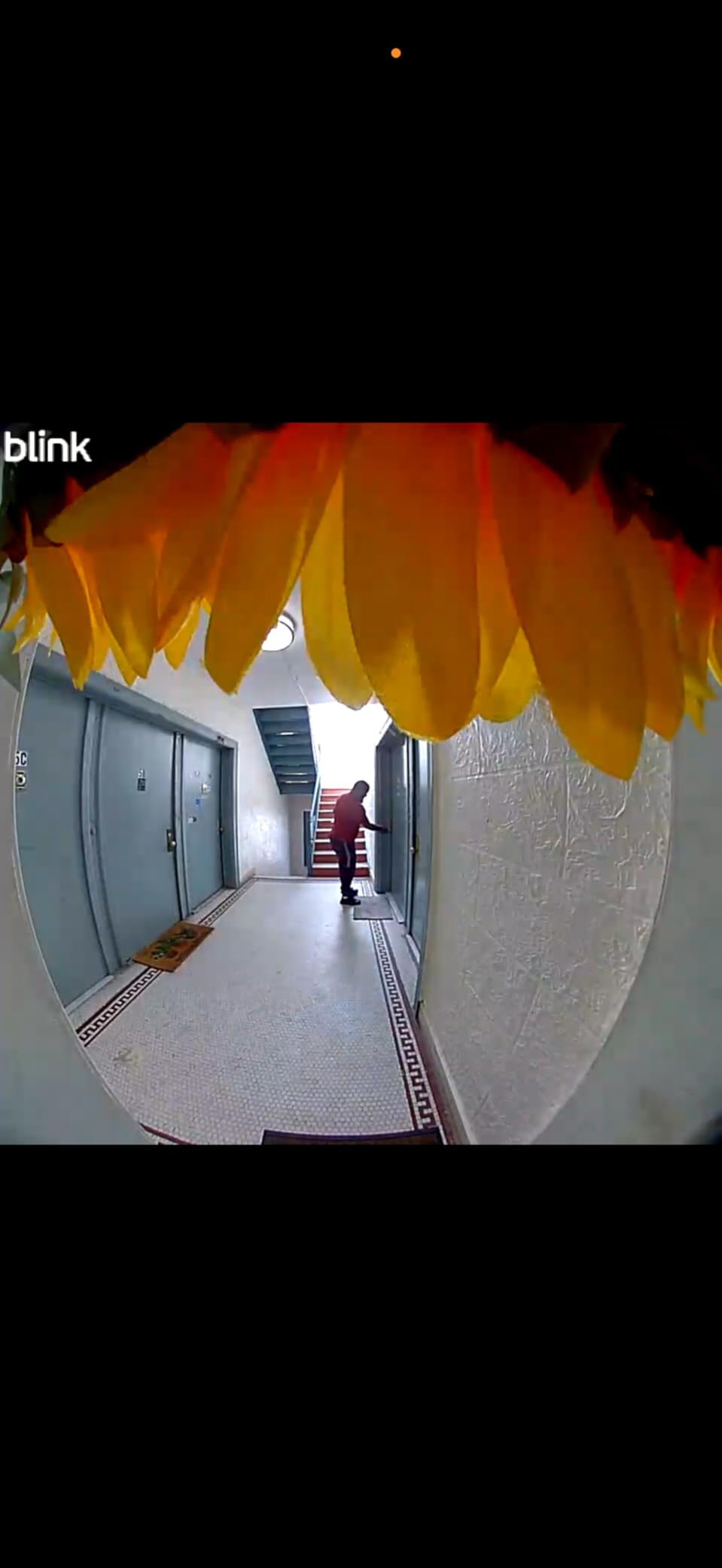 Blink Video Doorbell - Head-to-toe HD view, two-year battery life, and simple setup. Required Sync Module not included - Add-On (Black) customer photo 1