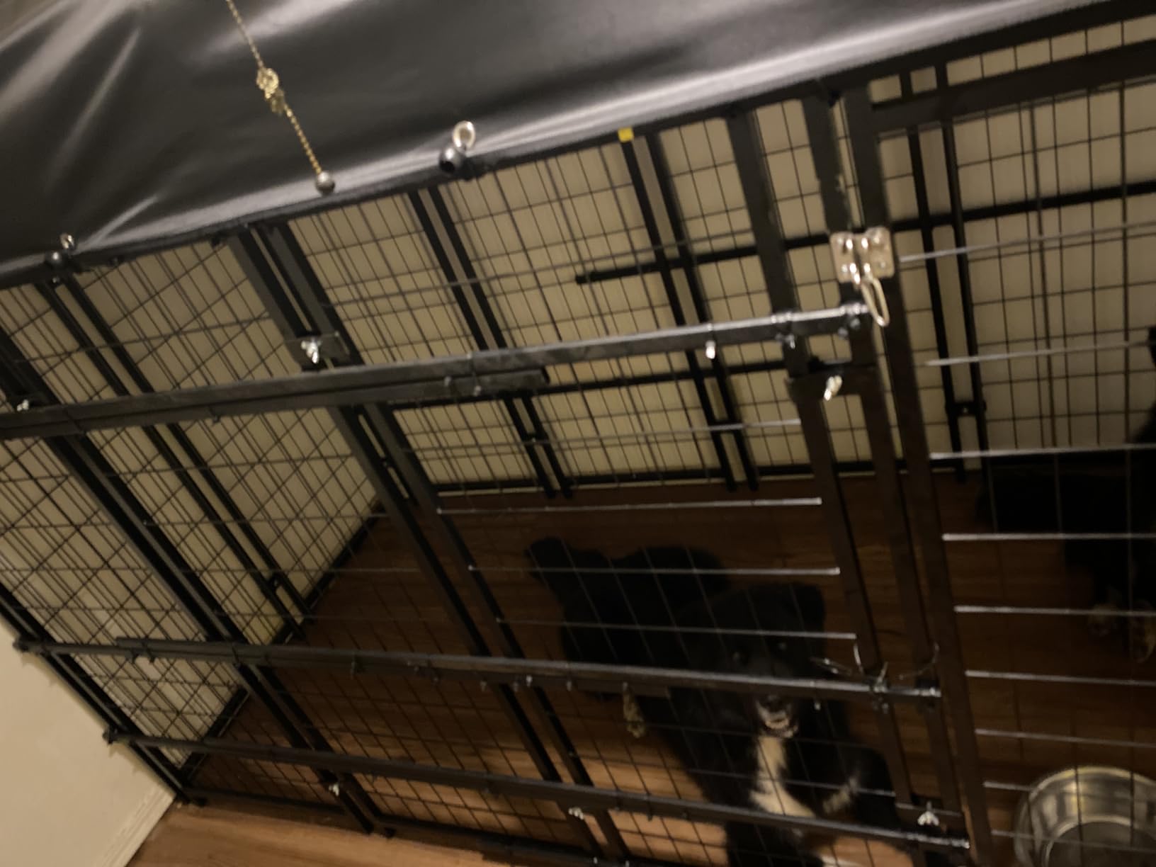 Sino Luban Outdoor Dog Kennel Outside Run with Doggy Door, Swivel Feeder&Roof - 8x4x6FT Large Dog Kennels Pens Outside for Large Dogs Breed- Heavy Duty Cage Yard (Can Connect to Your Dog House) customer photo 1