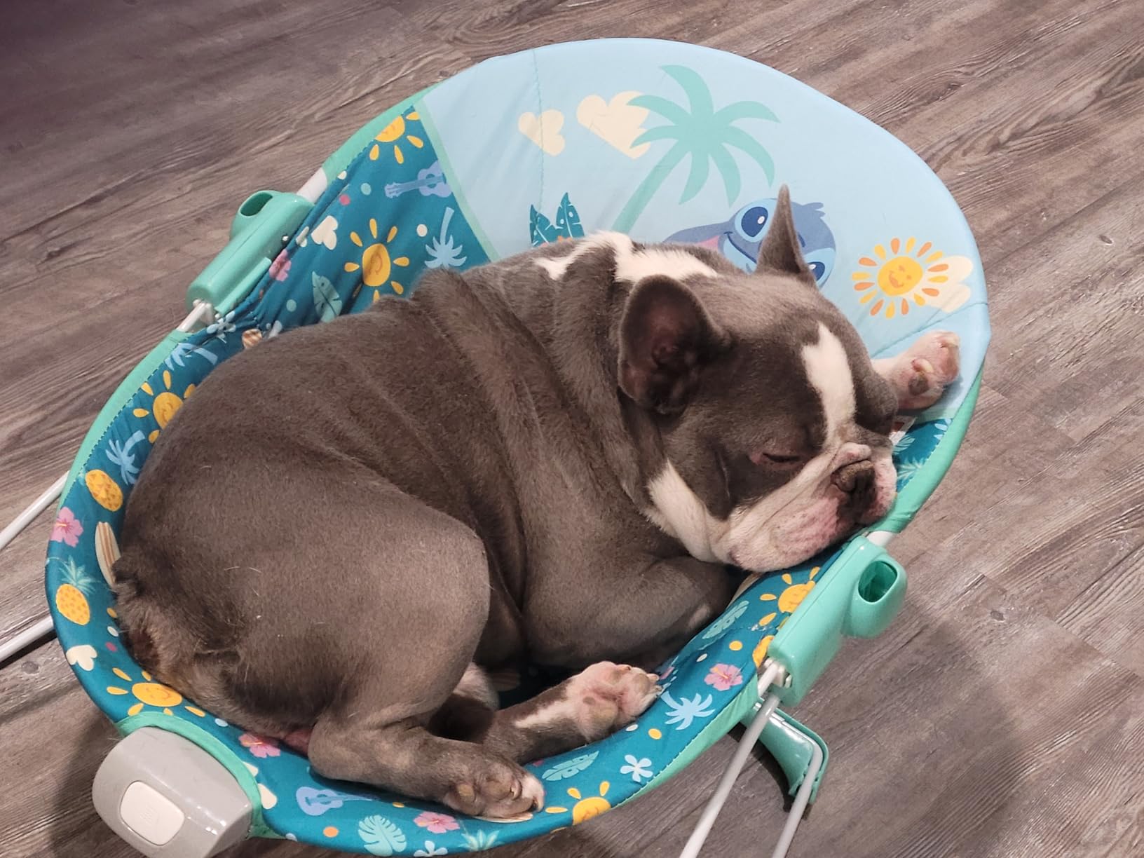 Bright Starts Disney Stitch Ohana Paradise Vibrating Baby Bouncer, Soothing Vibrations Infant Seat with 2 Sensory Toys, 0-6 Months customer photo 1