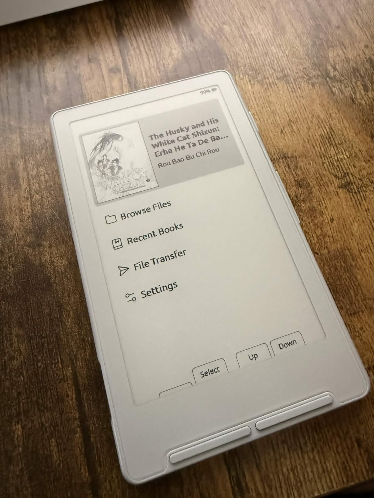 XTEINK X4 E-Book Reader, 4.3