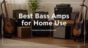 Best Bass Amps for Home Use