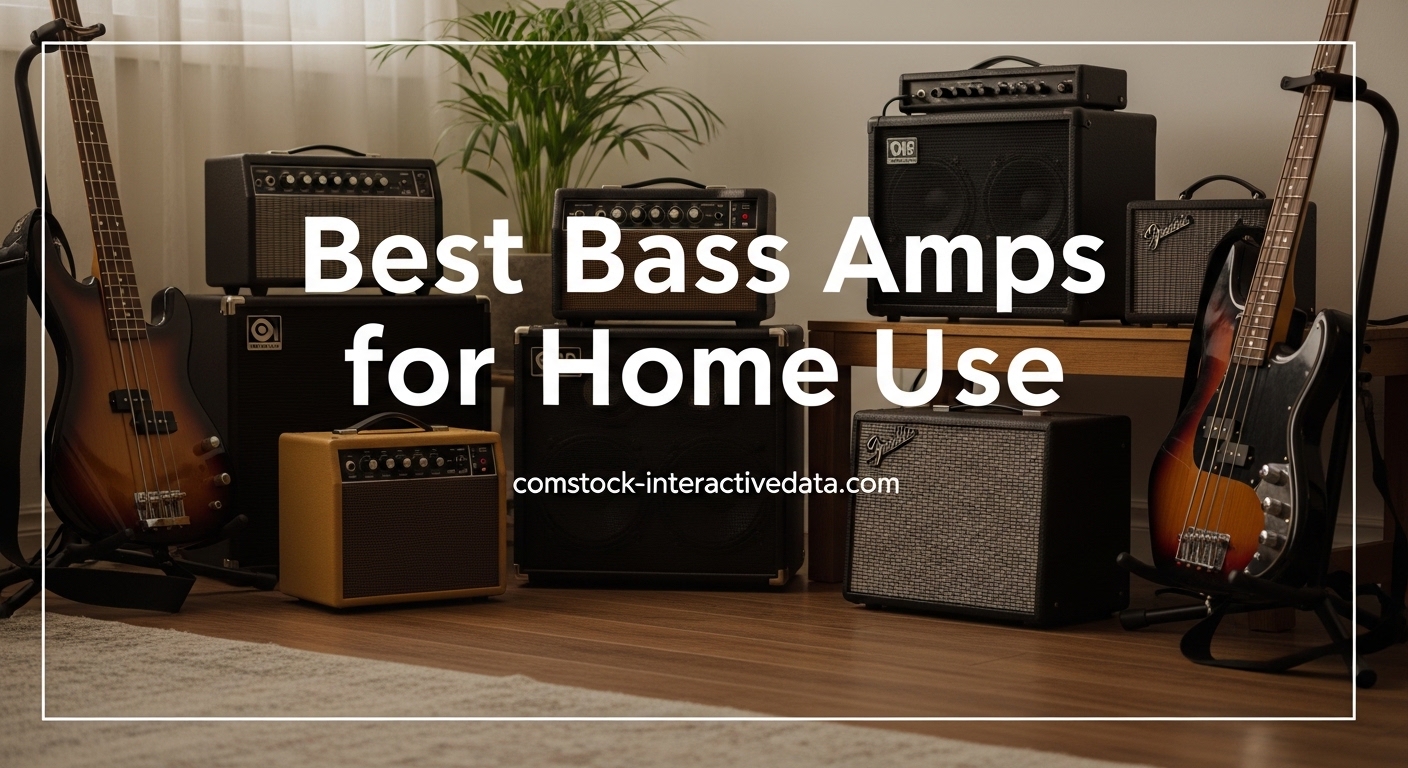 Best Bass Amps for Home Use