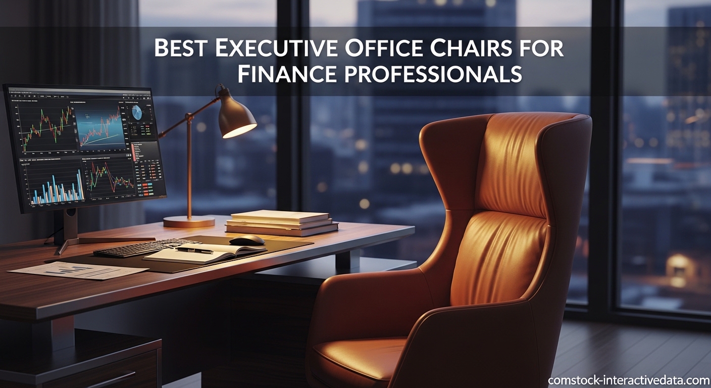 Best Executive Office Chairs for Finance Professionals