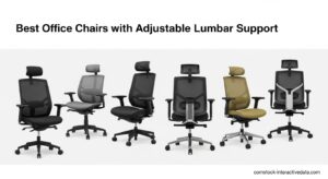 Best Office Chairs with Adjustable Lumbar Support