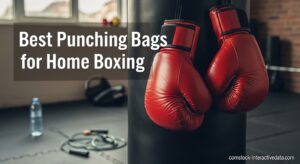 Best Punching Bags for Home Boxing