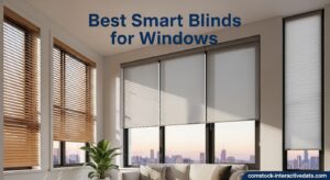 Best Smart Blinds for Windows