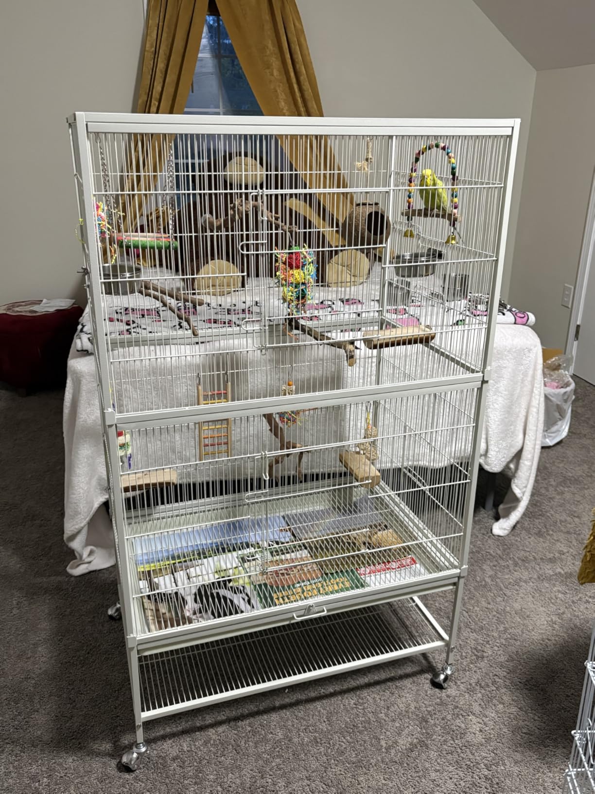 Prevue Hendryx Pet Products Wrought Iron Flight Cage - Big Rolling Bird Cage for Parakeets, Cockatiels, Conures, Lovebirds, Canaries, Finches, Parrotlets, & Caiques, 5 Ft - X-Large, Hammertone Black customer photo 2