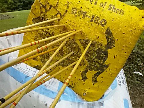 Bear Archery unisex-adult Bear Arrow Rest/Silent Plate Multi, One Size, (AS3572000) customer photo 1