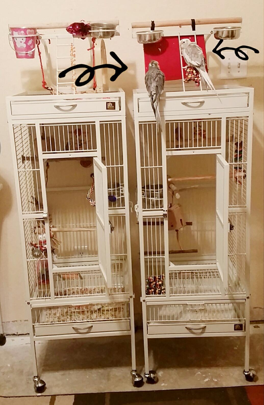 Prevue Pet Products Wrought Iron Select Bird Cage - Steel Cage with Rolling Stand and Seed Guards, Tall Vertical Design, Ideal for Cockatiels and Medium Birds - Chalk White customer photo 1
