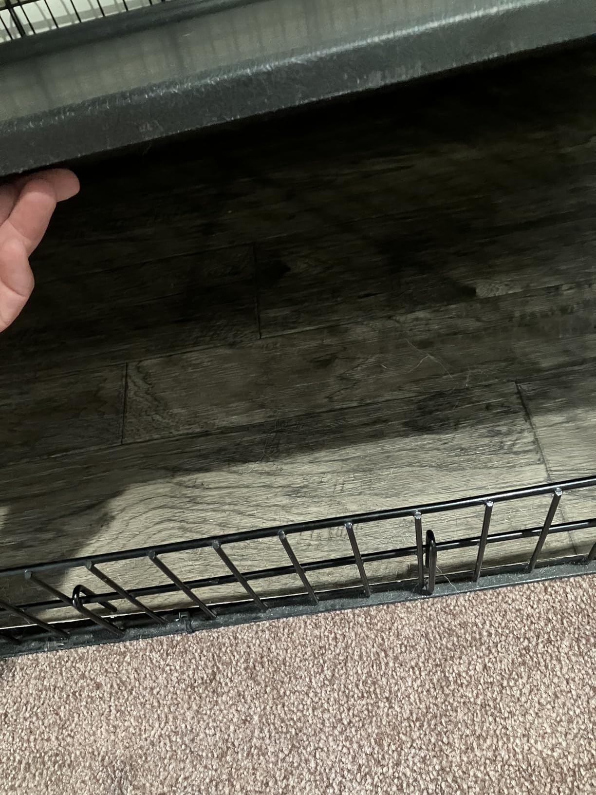 MidWest Homes for Pets 48-Inch iCrate for Extra-Large Breeds, 90-110 lbs, Single Door Folding Dog Crate with Divider Panel, Leak-Proof Tray & Secure Latches, Portable, Durable & Easy to Assemble customer photo 2