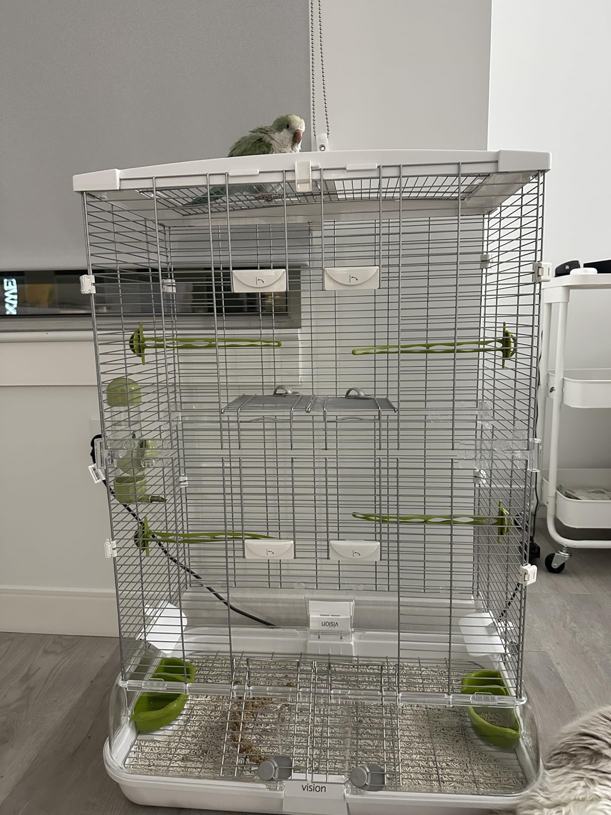 Vision M02 Wire Bird Cage, Bird Home for Parakeets, Finches and Canaries, Tall Medium customer photo 2