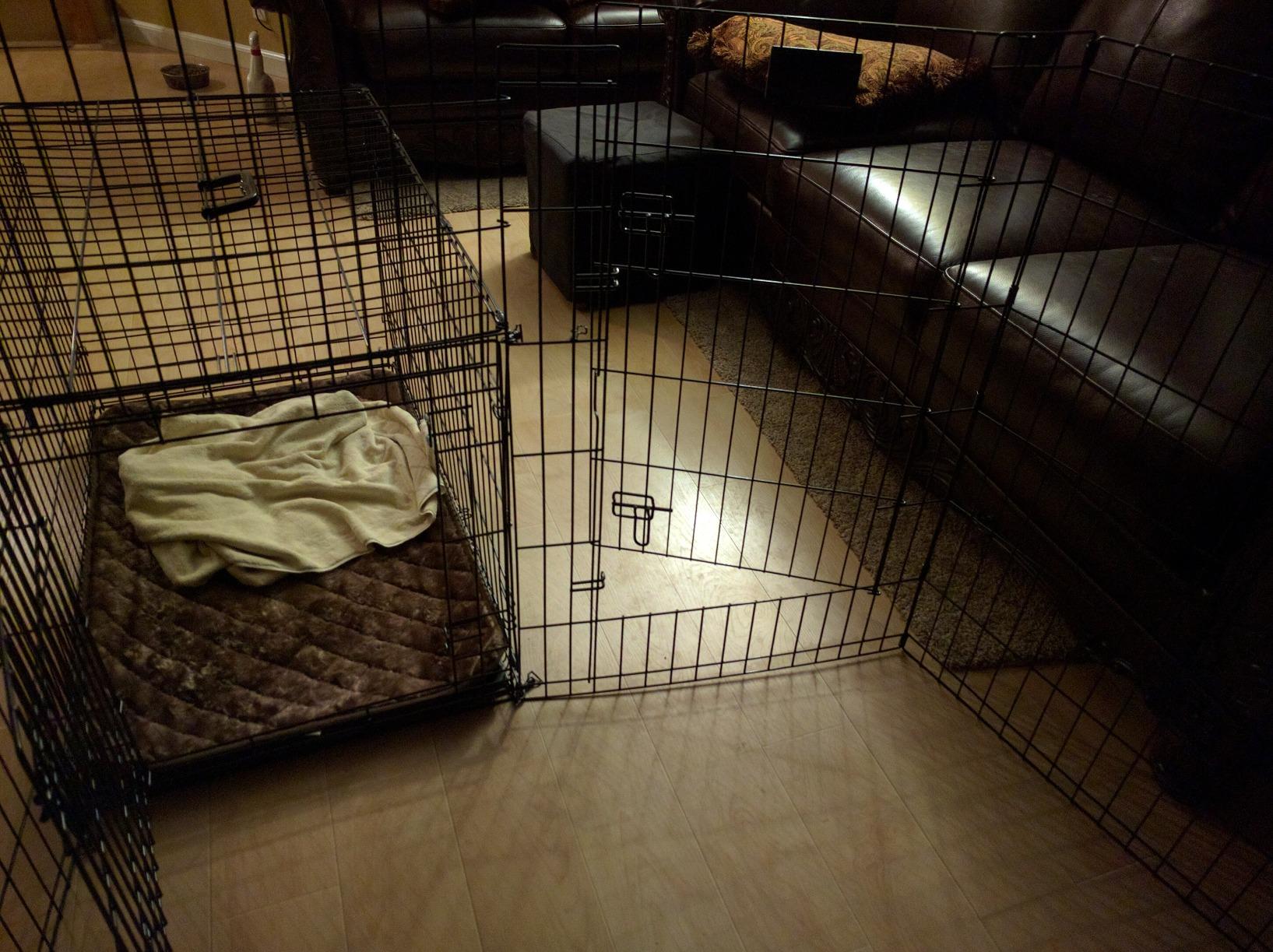 MidWest Homes for Pets 24-Inch Exercise Pen, for Indoor and Outdoor Use, 16 Sq Feet of Play, Single Door Folding Dog Pen, with Large Door Opening & Secure Latch, Easy to Set Up, Foldable Dog Playpen customer photo 1