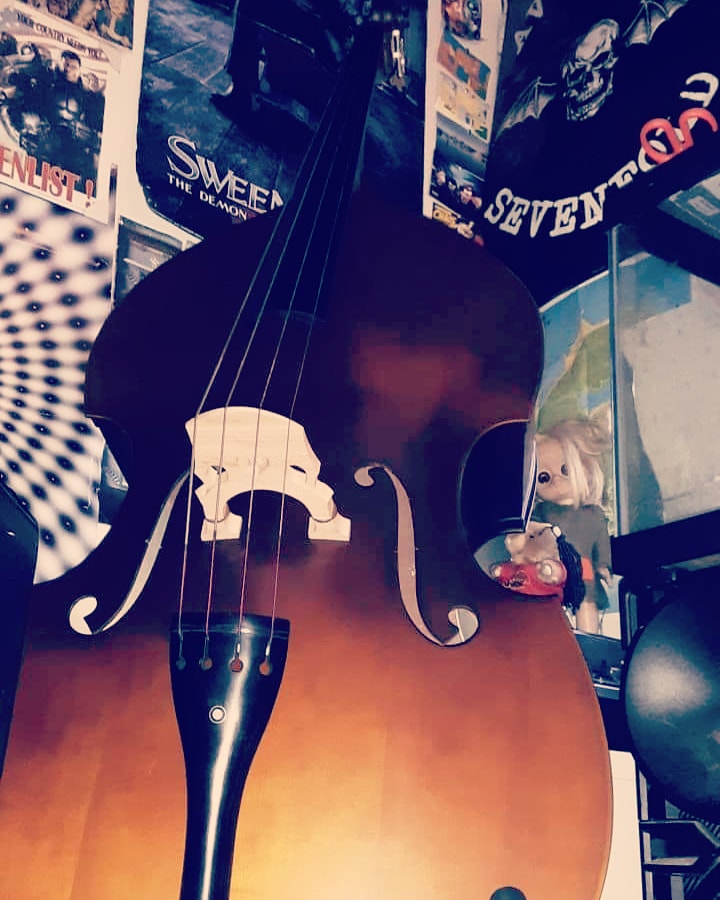 Cecilio CDB Upright Double Bass with an Adjustable Bridge, Bow, Rosin, and Gig Bag (Size 1/2, Natural-100) customer photo 1