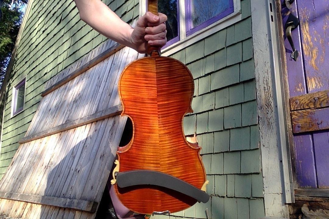 D'Luca CA800AT 16-Inch Orchestral Series Professional Antique Handmade Full Size Viola customer photo 2