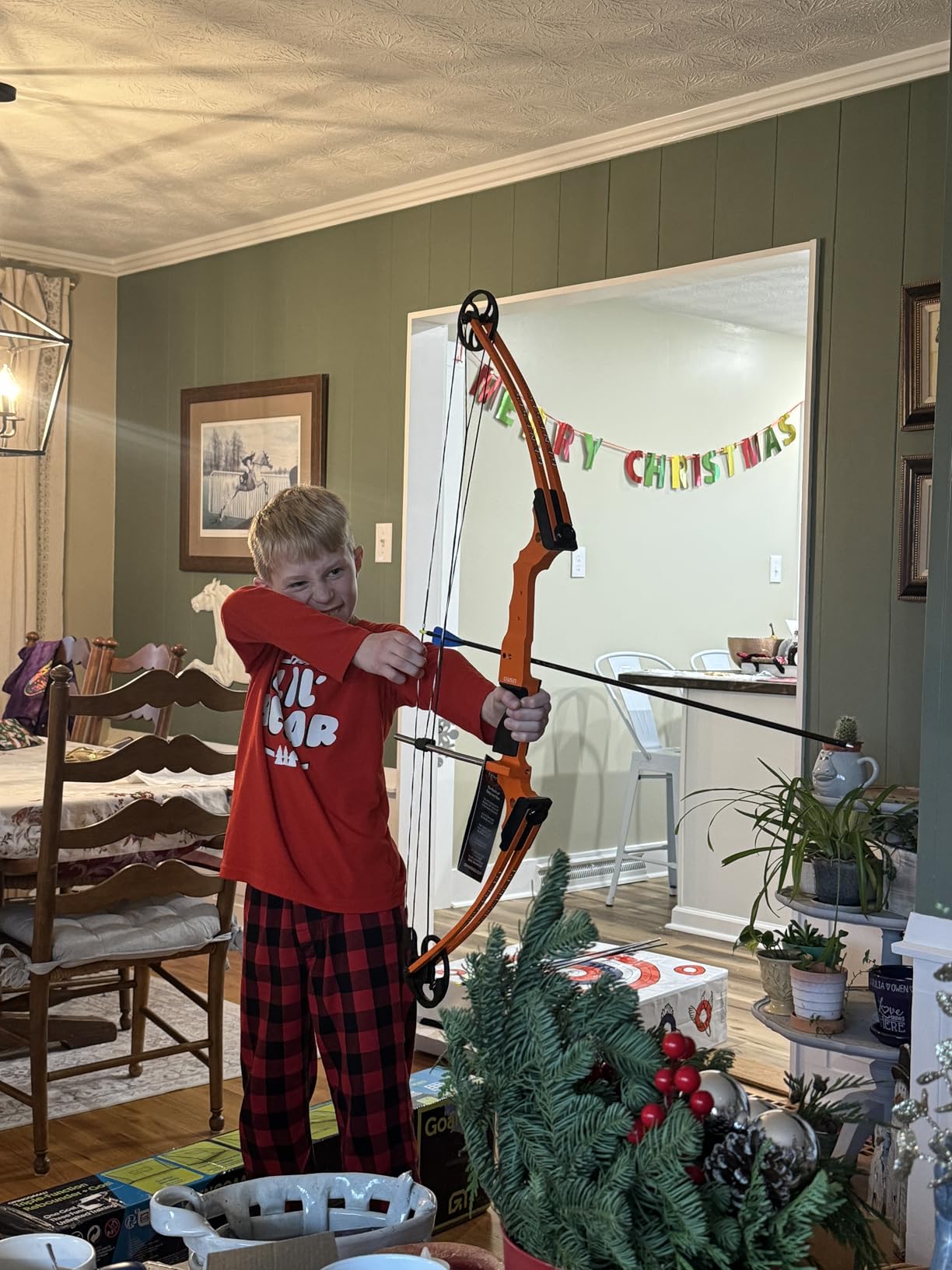 Genesis Archery Original Lightweight Compound Bow with Adjustable Aluminum Riser, 15
