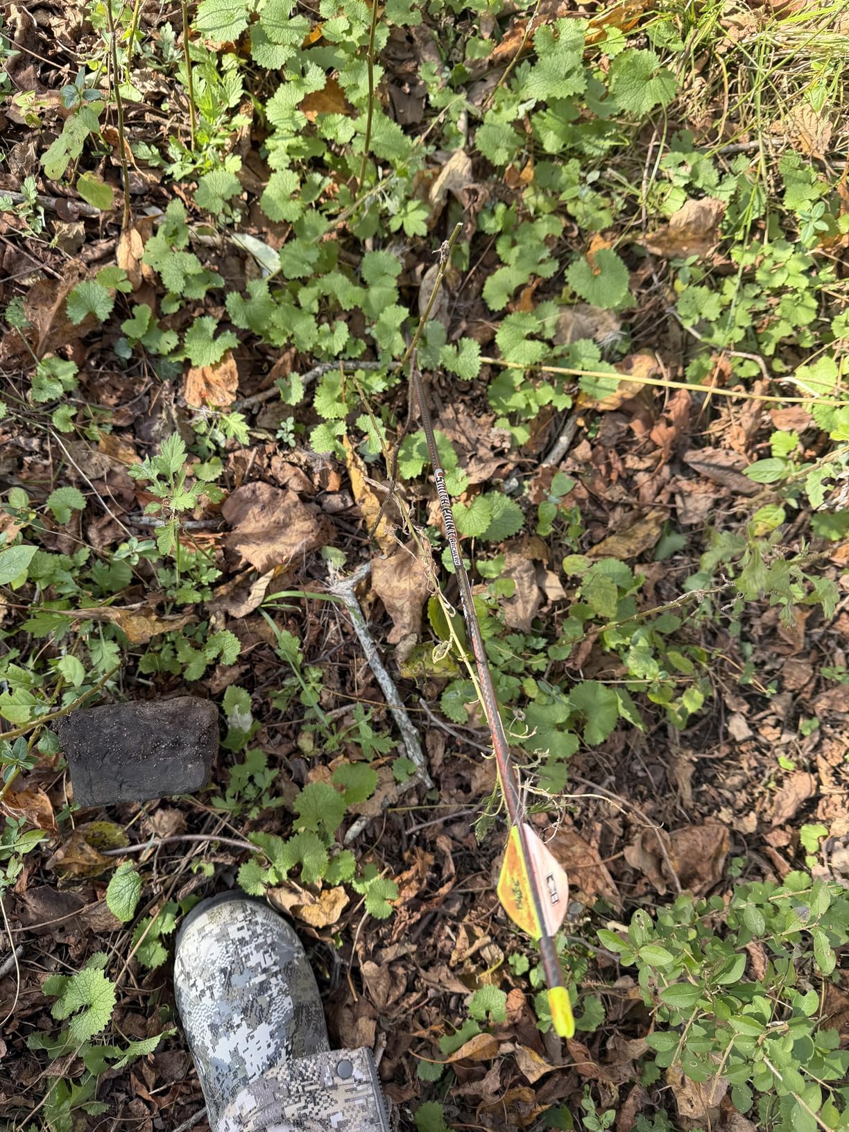 QADFixed Blade Broadheads customer photo 1