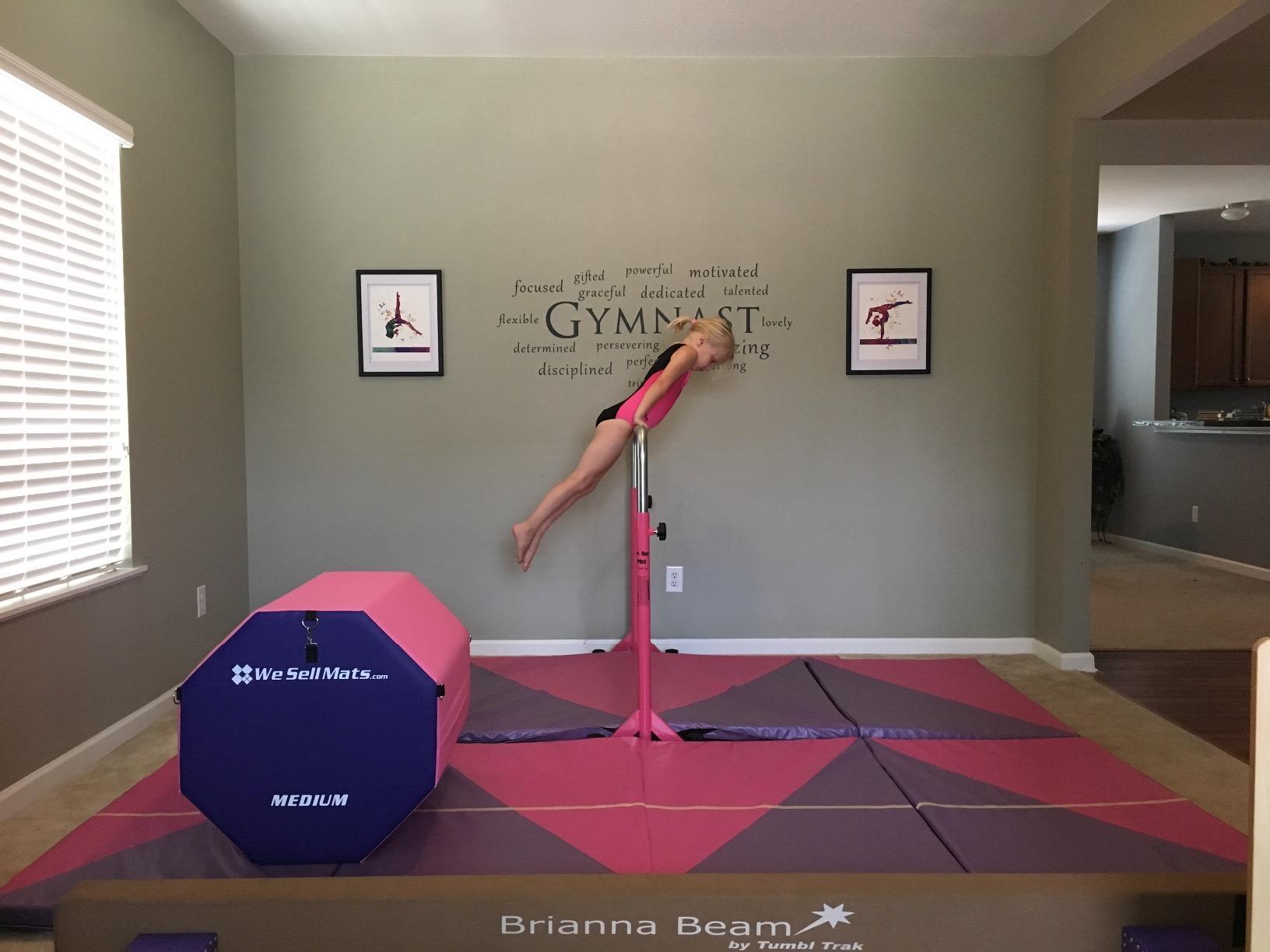 Tumbl Trak Jr. Bar PRO Adjustable Height Horizontal Gymnastics Kip Bar for the Gym or Home customer photo 2