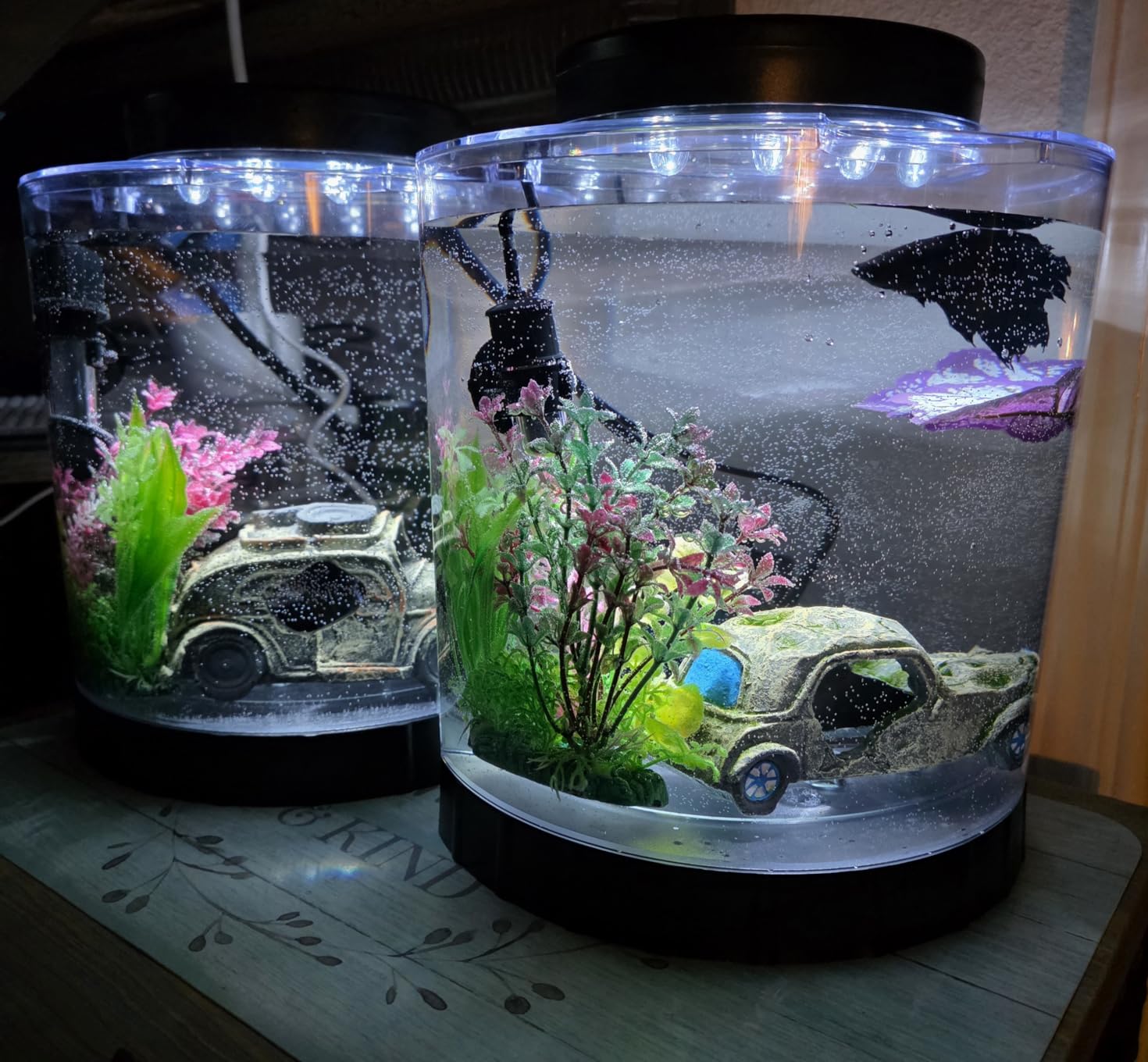 Tetra LED Half Moon Aquarium Kit, 1.1 Gallons, Small Clear Plastic Fish Tank With Curved Front, Energy-Efficient LEDs Ideal For Bettas customer photo 1
