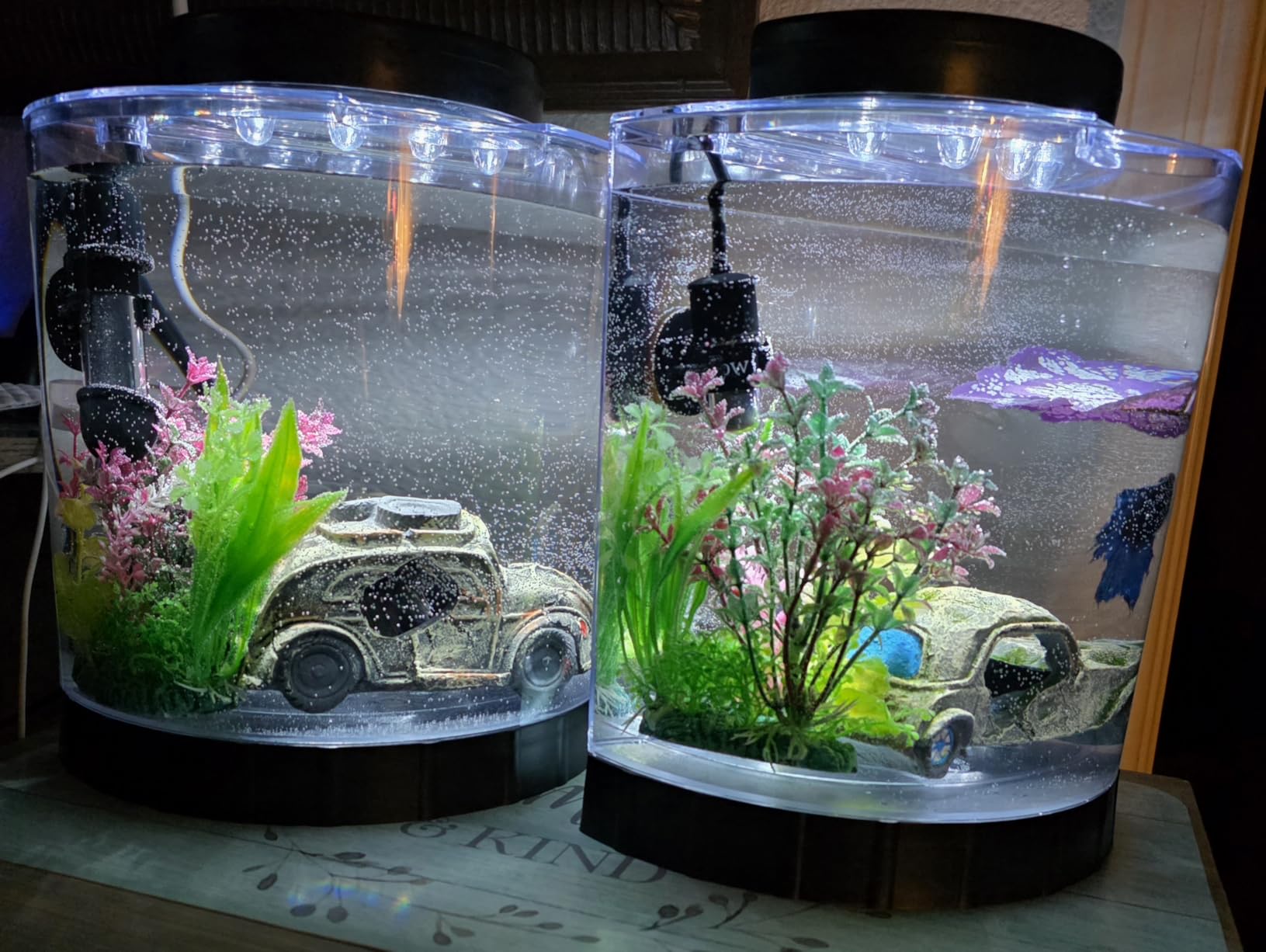 Tetra LED Half Moon Aquarium Kit, 1.1 Gallons, Small Clear Plastic Fish Tank With Curved Front, Energy-Efficient LEDs Ideal For Bettas customer photo 2