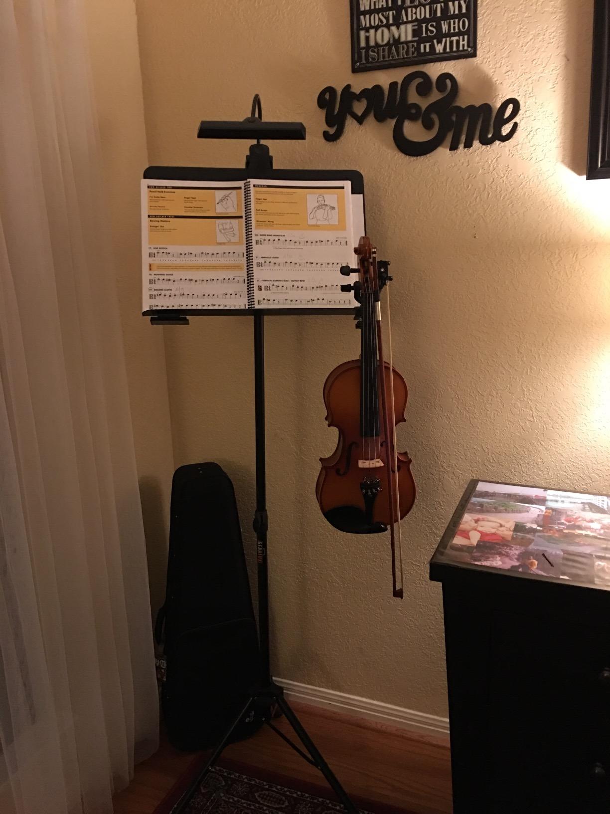 Cecilio Solid Wood Viola 16 Inch, Professional Handcrafted Acoustic Viola with Ebony Fittings customer photo 2