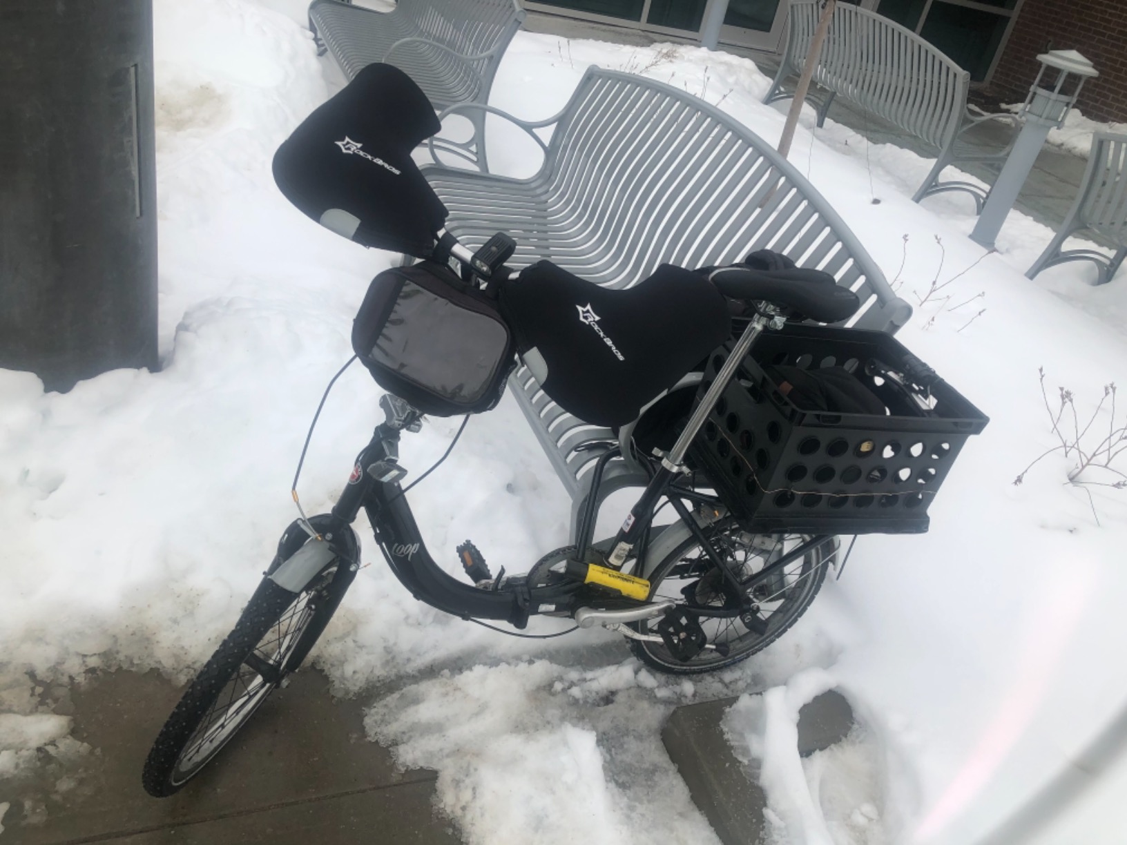 Schwinn Loop 20-Inch Folding Bike customer photo 1