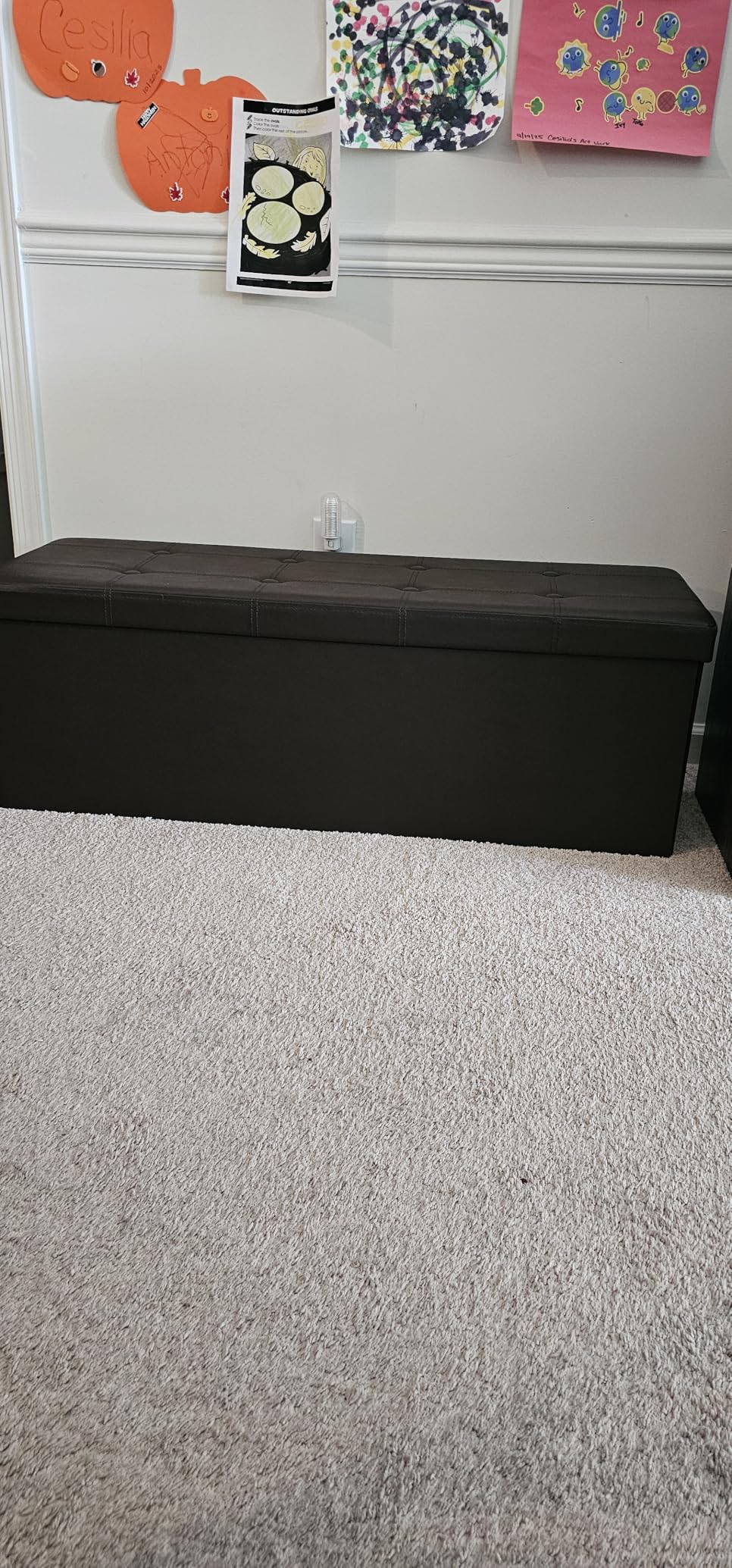 SONGMICS MAZIE Collection - 43 Inches Folding Storage Ottoman Bench, Ottoman with Storage, Foot Rest Stool, Load 660 lb, for Living Room, Synthetic Leather, Black ULSF701 customer photo 1