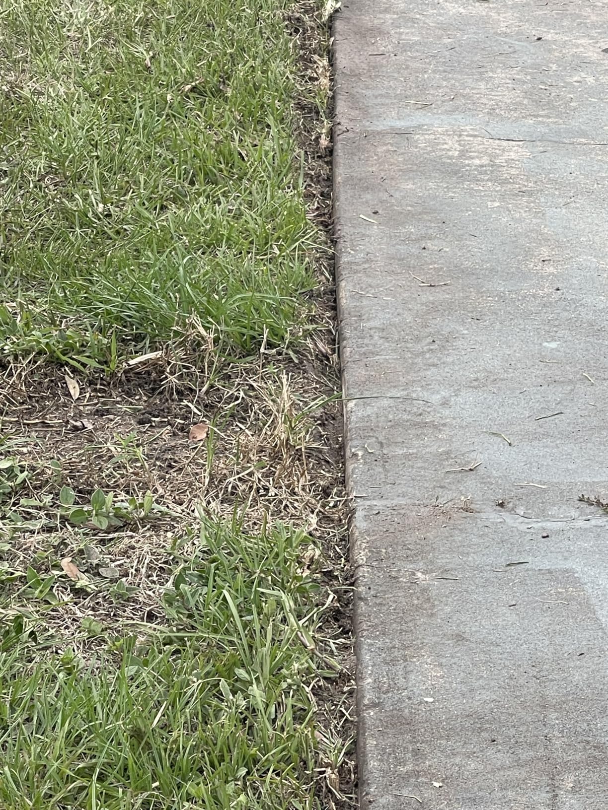 WORX 12 Amp 7.5'' Electric Lawn Edger & Trencher, Corded, WG896 customer photo 2