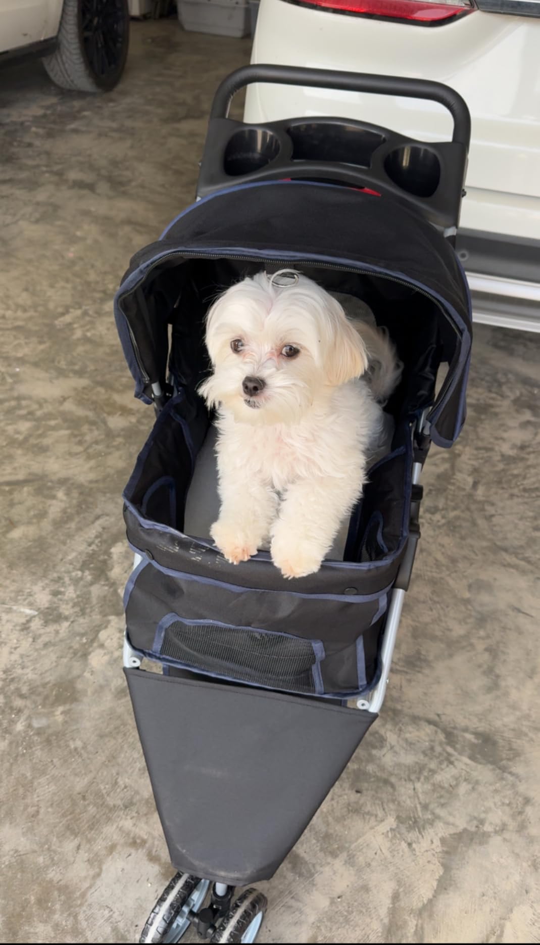 BestPet 3-Wheel Pet Stroller | Dog and Cat Stroller | Breathable Mesh | Lightweight Travel Carrier | Waterproof & Foldable Design | Storage Basket | Black | for Daily Walks & Outdoor Use customer photo 1