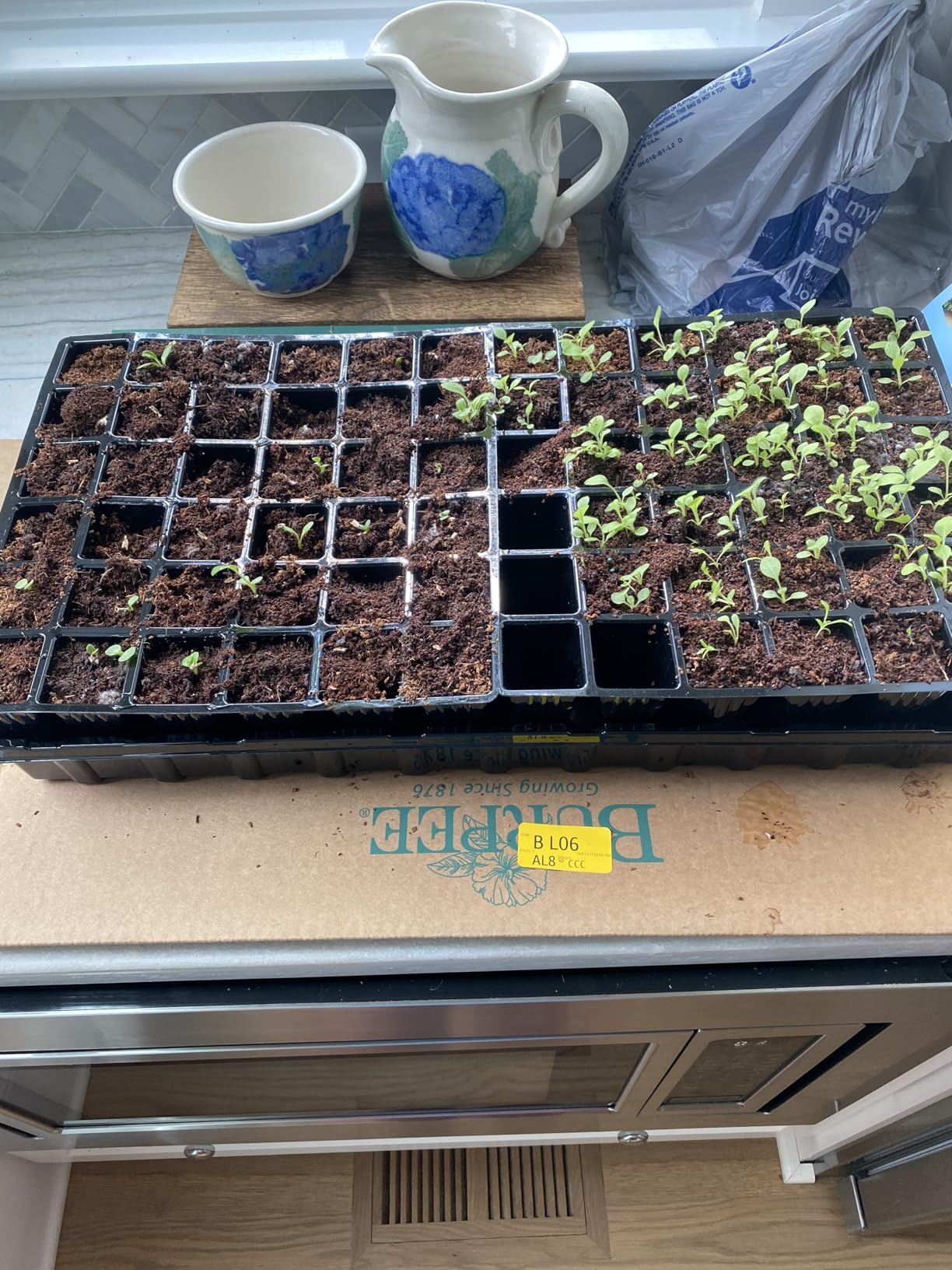 Burpee Self-Watering Seed Starter Tray, 72 Cells customer photo 2