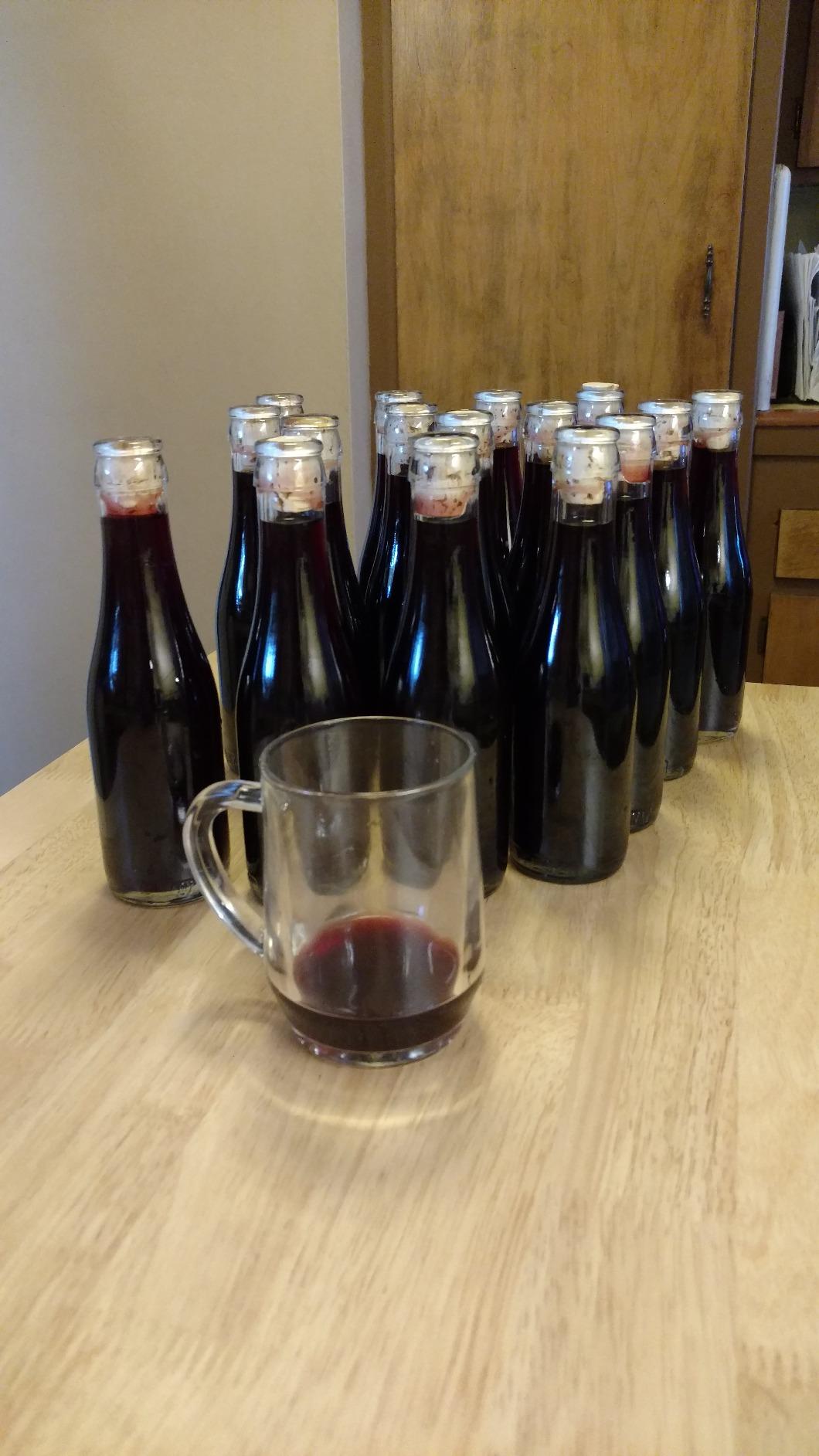 Master Vintner 1 Gallon Wine Making Equipment Starter Kit With Recipe (Cabernet Sauvignon) customer photo 1