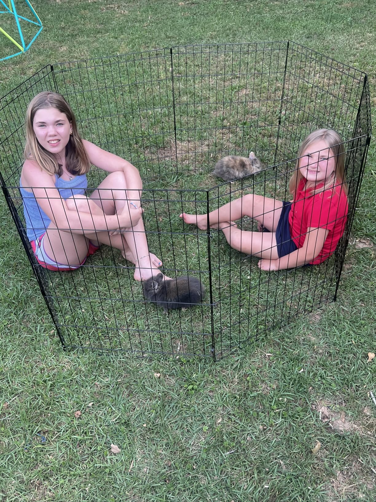 BestPet Foldable Dog Playpen 24 Inch, 8 Panels, Metal Pet Exercise Pen, Indoor Outdoor Portable Dog Fence with Door, Removable, Rust-Resistant Secure Pet Kennel, Easy to Assemble customer photo 2