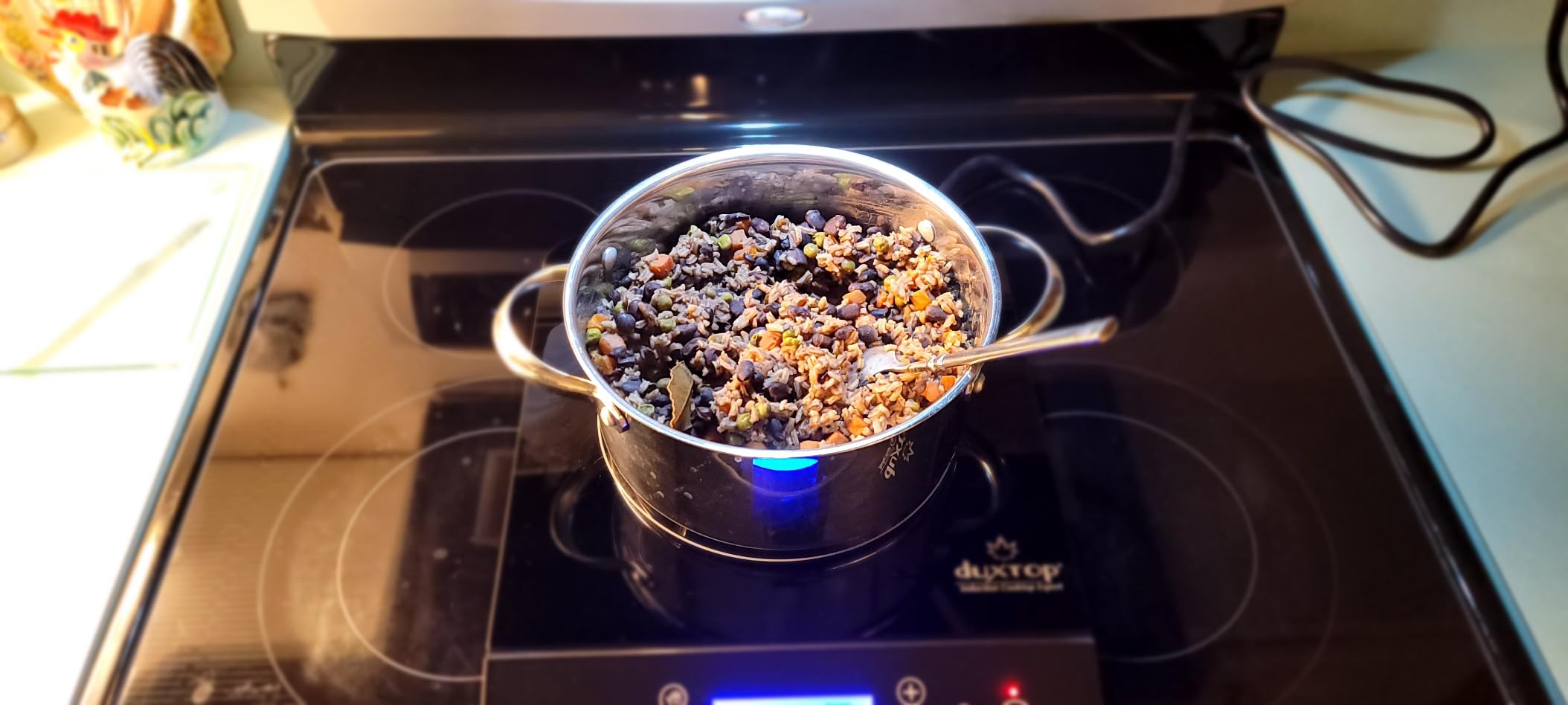 Portable Induction Cooktop, Countertop Burner Induction Hot Plate with LCD Sensor Touch 1800 Watts, Silver 9600LS BT-200DZ customer photo 1