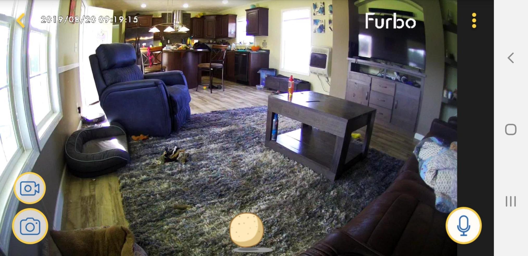 Furbo Dog Camera: Treat Tossing, Full HD Wifi Pet Camera and 2-Way Audio, Designed for Dogs, Compatible with Alexa (As Seen On Ellen) customer photo 1
