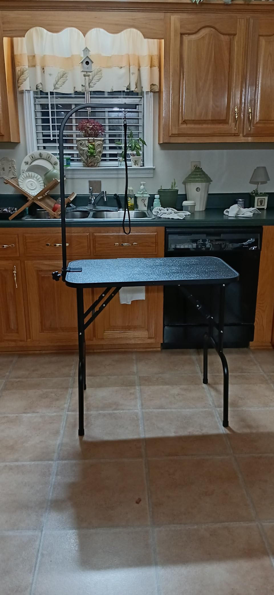 Yaheetech 32-inch Foldable Pet Dog Grooming Table with Adjustable Height Arm Drying Table for Home w/Noose for Small Dogs Cats Non-Slip Maximum Capacity Up to 220lbs Black customer photo 2