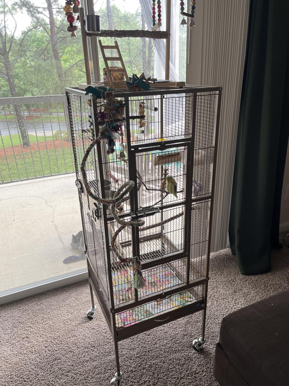 Prevue Pet Products Large Dome Top Bird Cage - Medium Steel Cage with Casters, Dual Locks, Seed Guards, and Perches, Ideal for Cockatiels, Conures, and Similarly Sized Birds - Chalk White customer photo 1