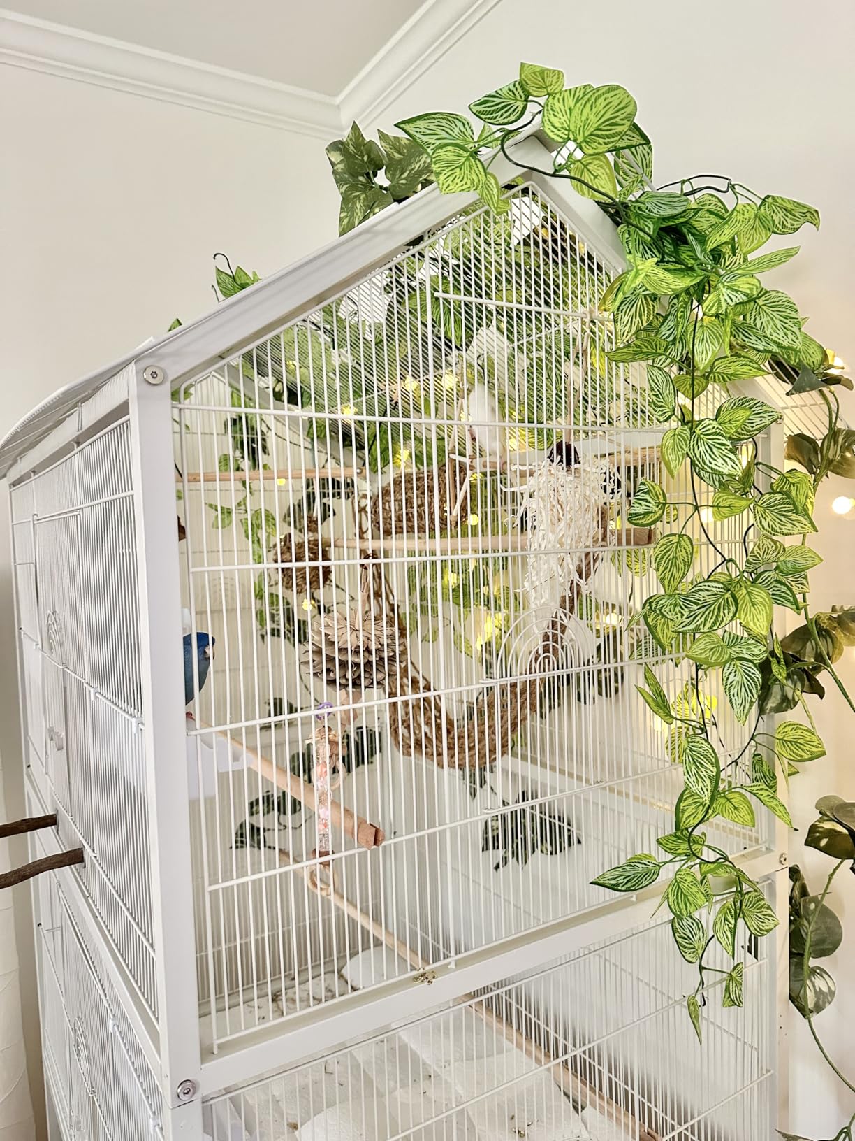 Prevue Pet Products Large Dome Top Bird Cage - Medium Steel Cage with Casters, Dual Locks, Seed Guards, and Perches, Ideal for Cockatiels, Conures, and Similarly Sized Birds - Chalk White customer photo 2