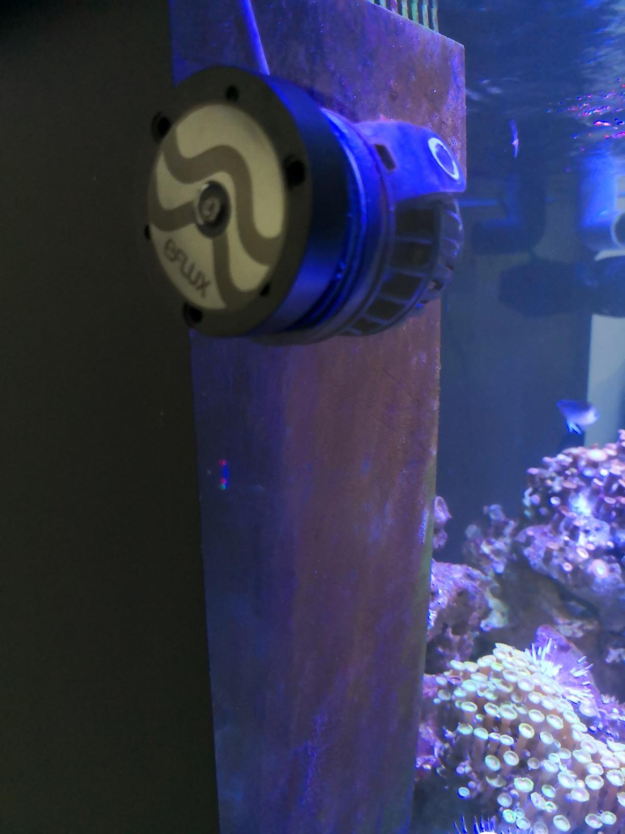 CURRENT USA eFlux Accessory Wave Flow Pump 1050 GPH, Ultra Quiet, Compact Size, Compatible with Loop, Saltwater Reef Marine & Freshwater Aquariums (6005) customer photo 1