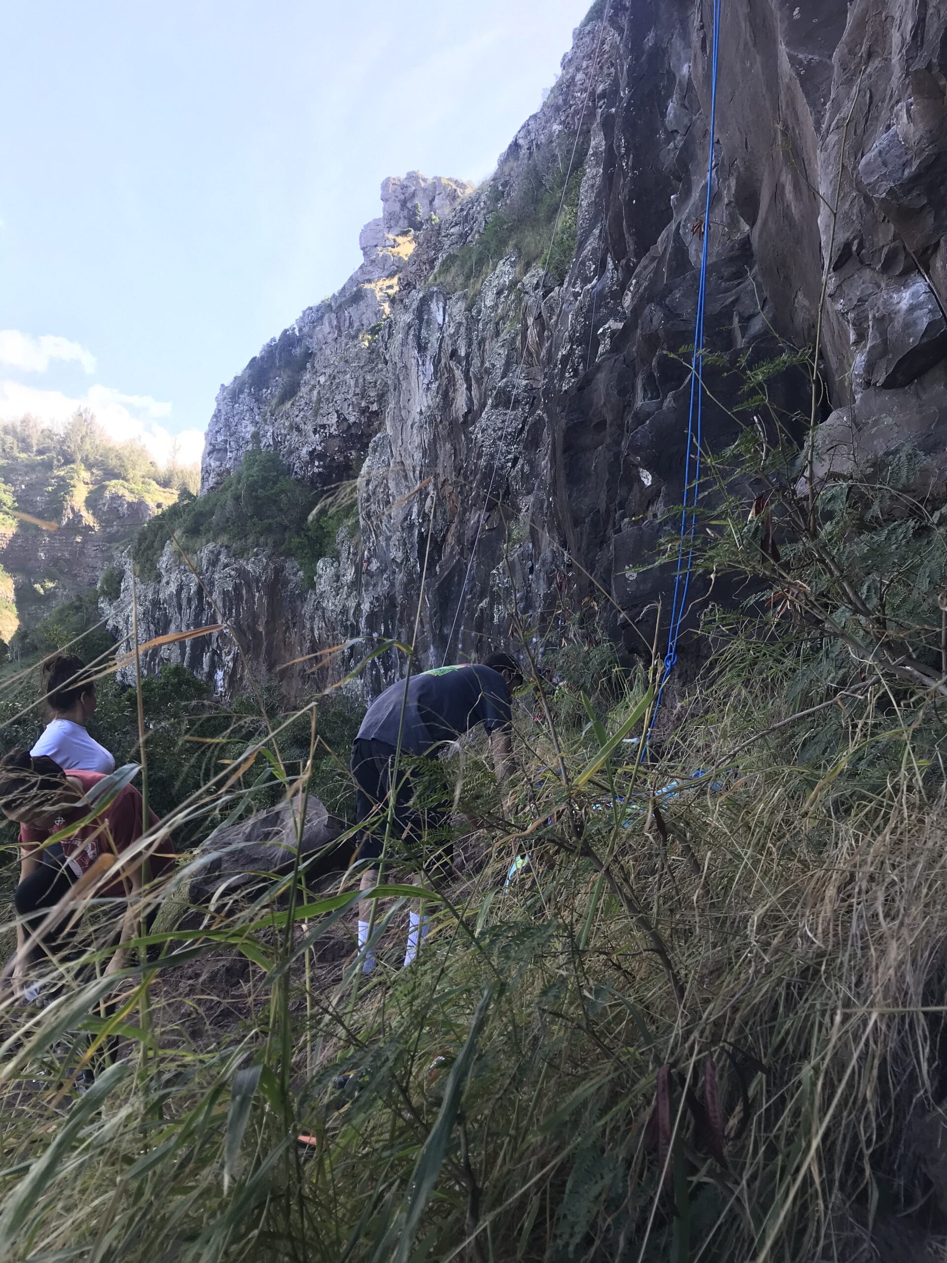 Black Diamond 9.9 Dynamic Rope 60m customer photo 1