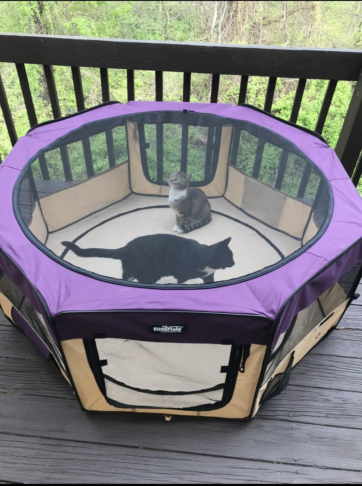 EliteField 2-Door Soft Pet Playpen (2 Year Warranty), Exercise Pen, Multiple Sizes and Colors Available for Dogs, Cats and Other Pets (42