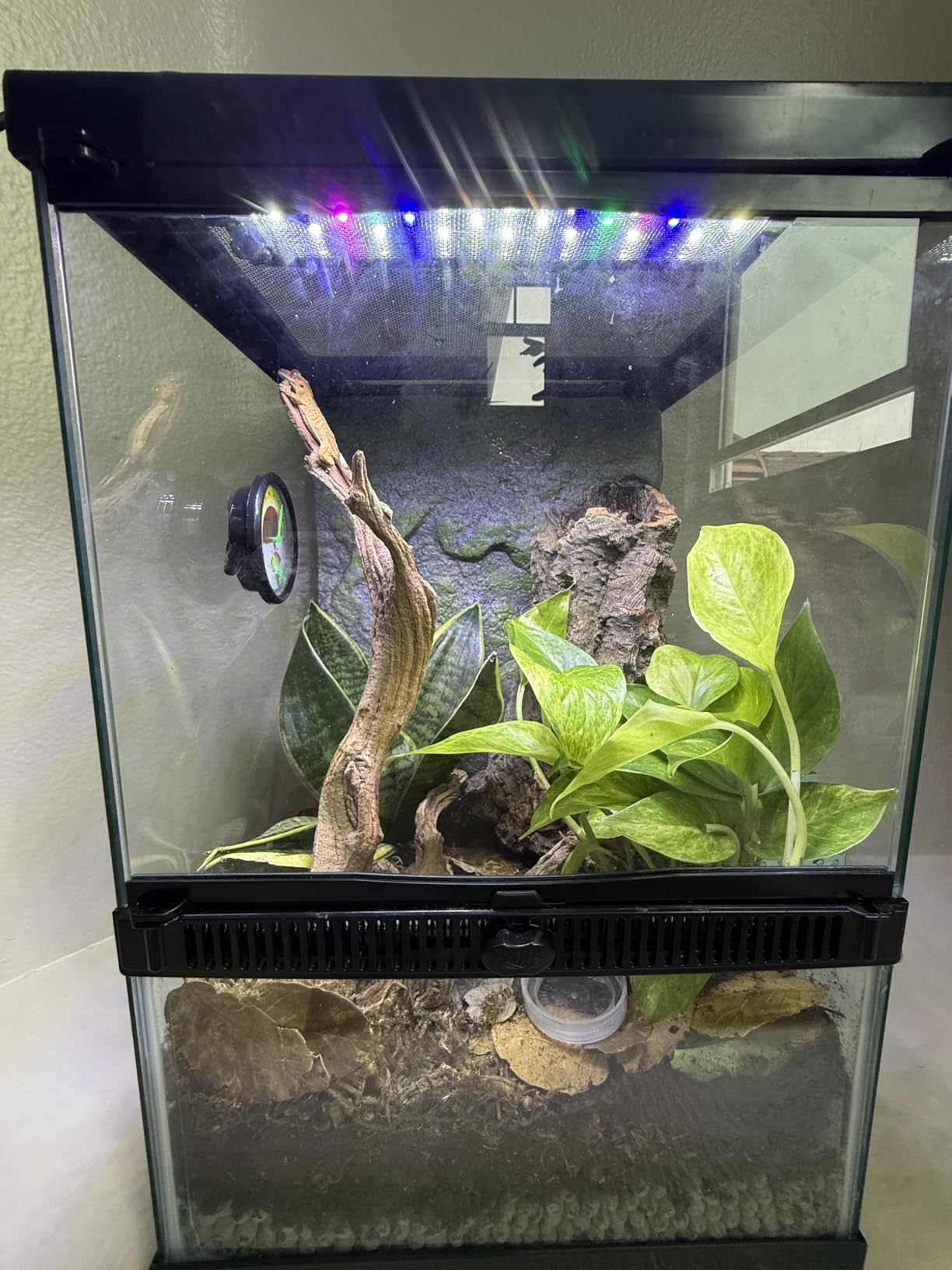 Zilla 11 Gallon Glass Tropical Vertical Habitat Starter Kit for Small Tree Dwelling Reptiles & Amphibians customer photo 2