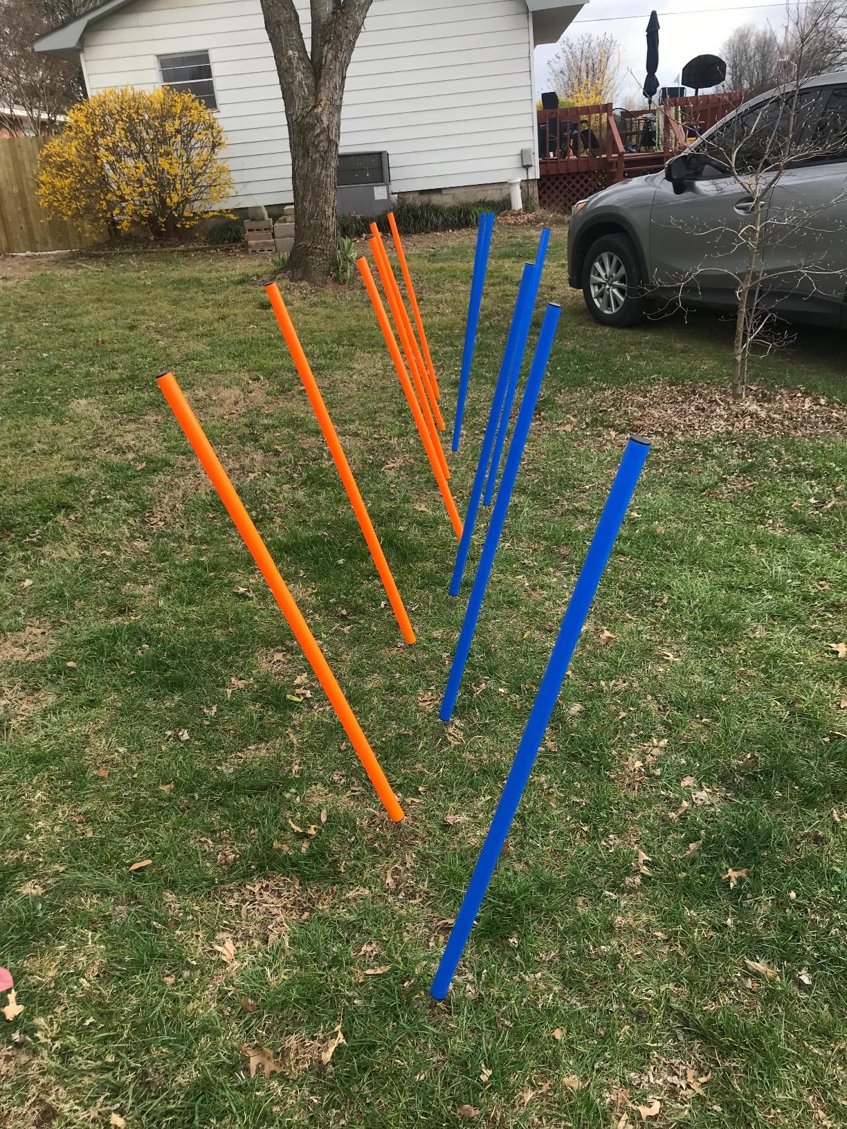 PAWISE Dog Agility Training Equipment,12 Weave Poles for Dogs with Stakes & Carry Bag,Dog Agility Training Set for Outdoor Obstacle Course,Backyard Exercise & Training Equipment for Shepherd Malinois customer photo 1