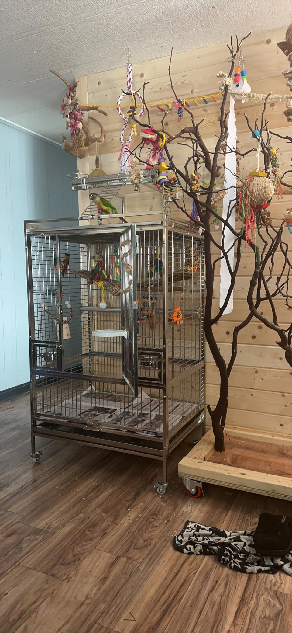 Prevue Pet Products Stainless Steel Playtop Bird Cage - Ideal for Cockatiels, Quakers, Green Cheek Conures, Parakeets, Lovebirds, Small Amazons, Parrots, Rolling Enclosure - Stainless Steel, Medium customer photo 2