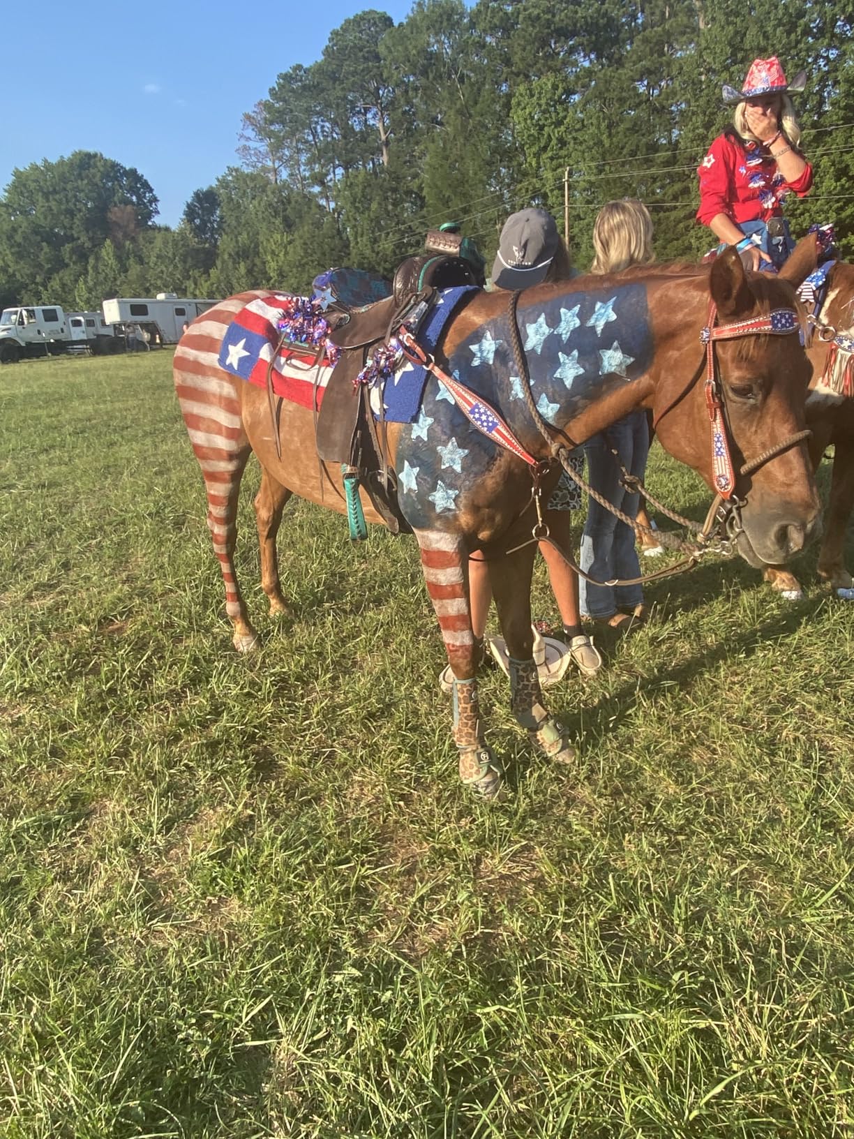 Showman American Flag Leather Bridle & Breast Collar Set w/Stars & Stripes customer photo 1