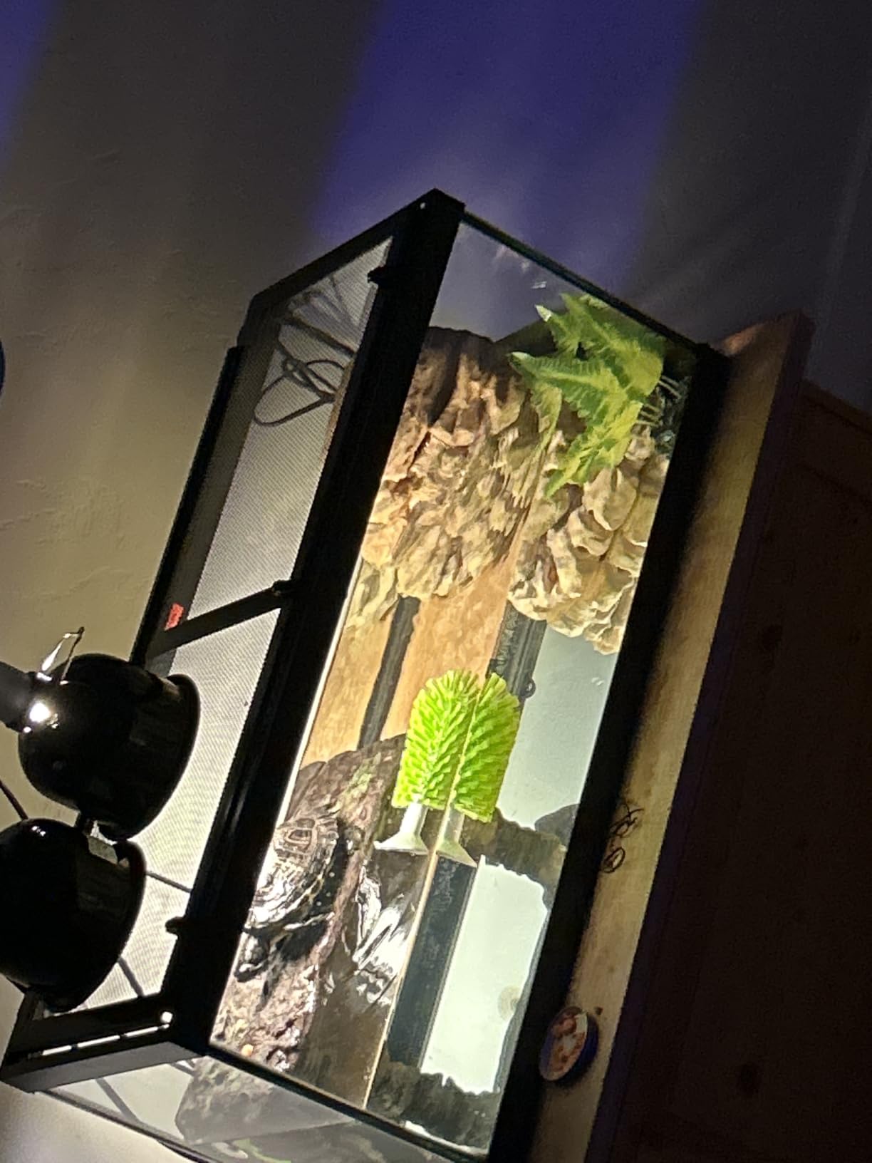 Tetra Aquatic Turtle Deluxe Kit 20 Gallons, Aquarium With Filter And Heating Lamps, 30 IN (NV33230) customer photo 1