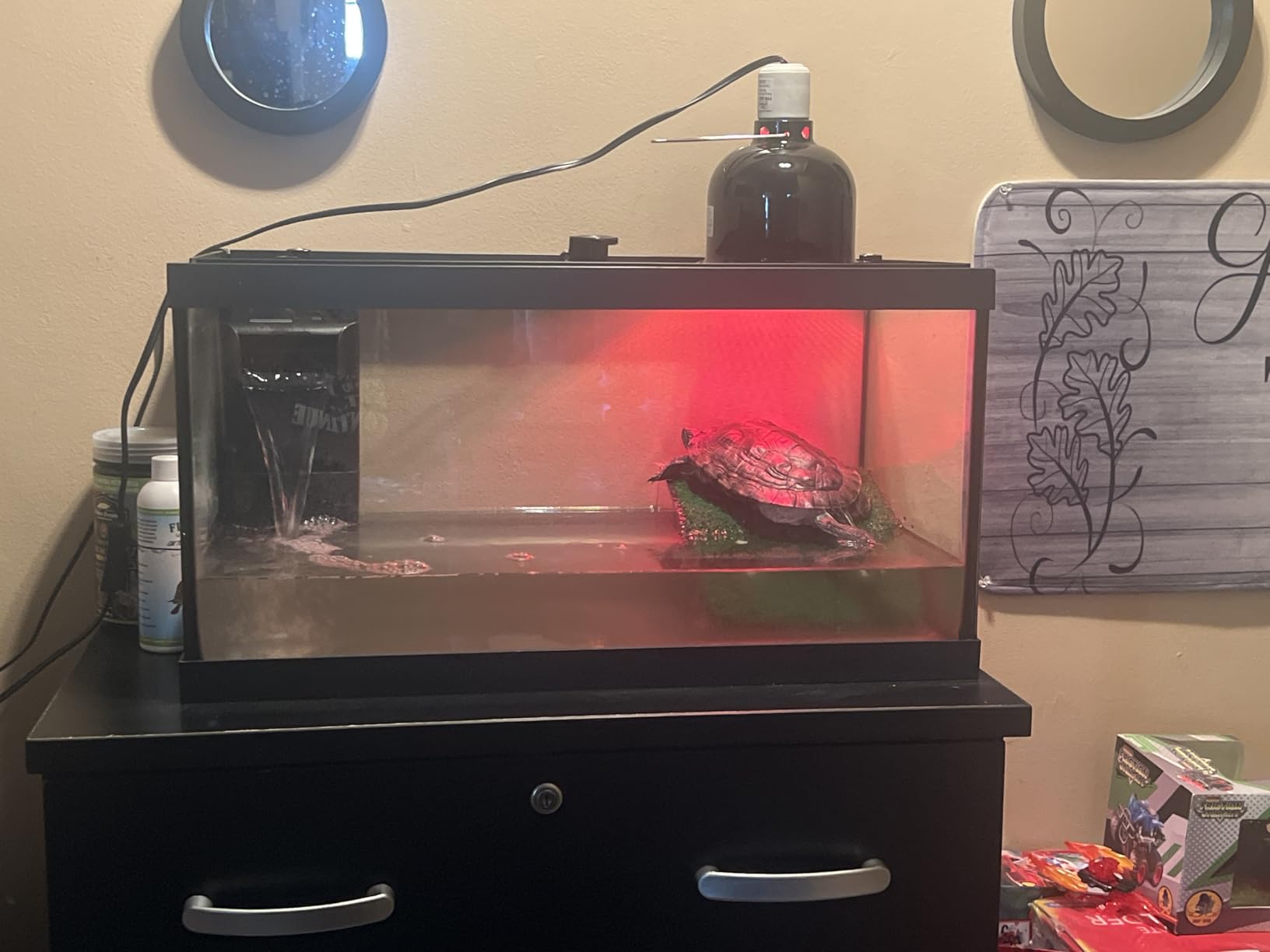 Tetra Aquatic Turtle Deluxe Kit 20 Gallons, Aquarium With Filter And Heating Lamps, 30 IN (NV33230) customer photo 2