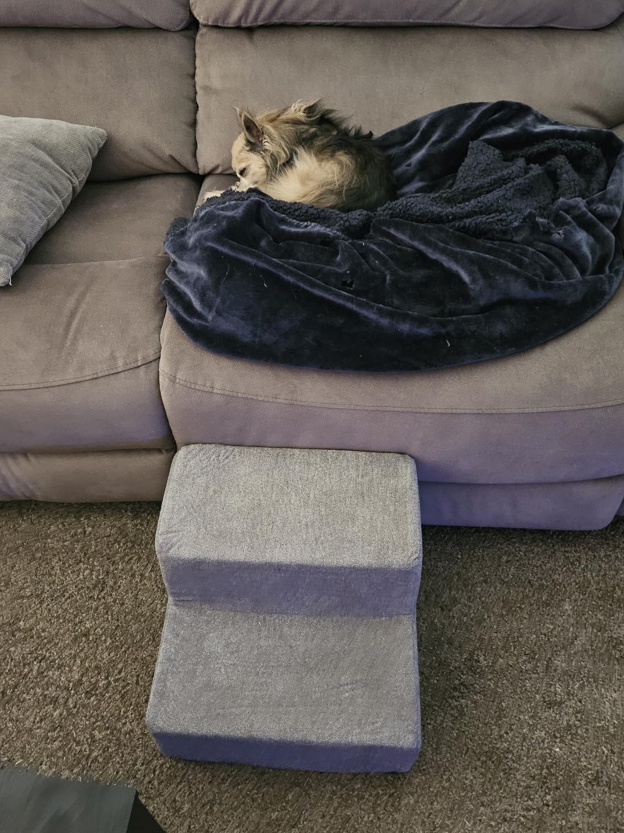 Best Pet Supplies Dog Stairs & Steps - Foam Steps for Small Dogs & Cats, Non-Slip Indoor Balanced Pet Step Support, Dog Ramp, No Assembly, Ash Gray Linen, 4-Step (18-inch Height) customer photo 1