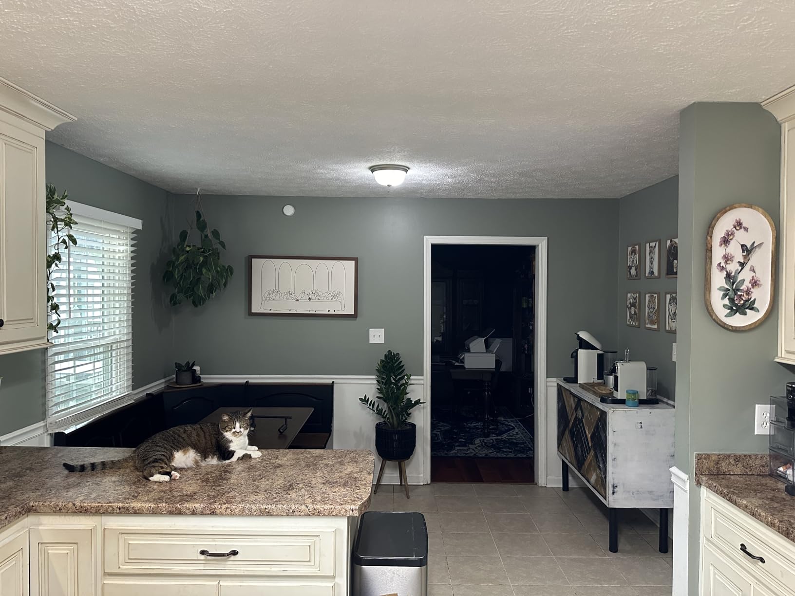 Globe Electric 59351 Payton 6-Light Foldable Track Lighting, Matte Silver customer photo 2