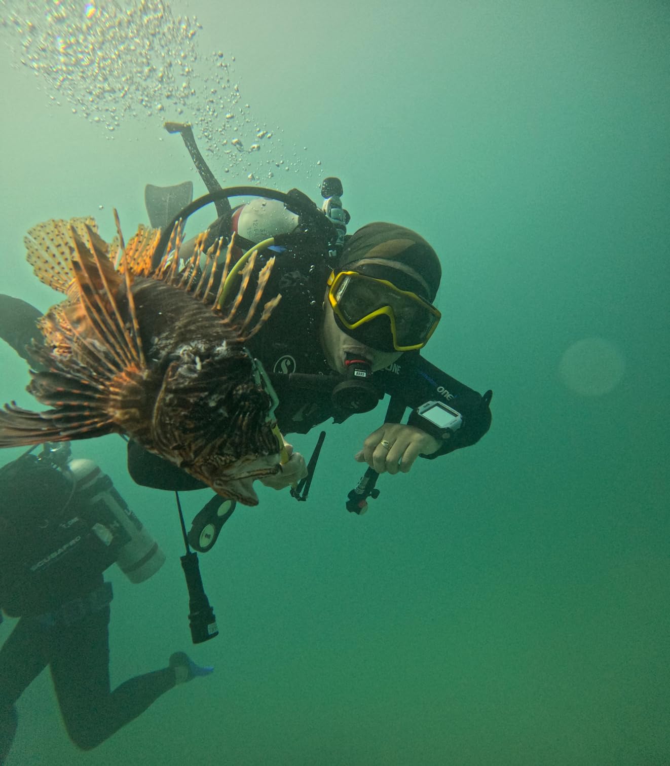 Cressi Perfect View Scuba Diving, Snorkeling Mask - Liberty Triside: Designed in Italy customer photo 1